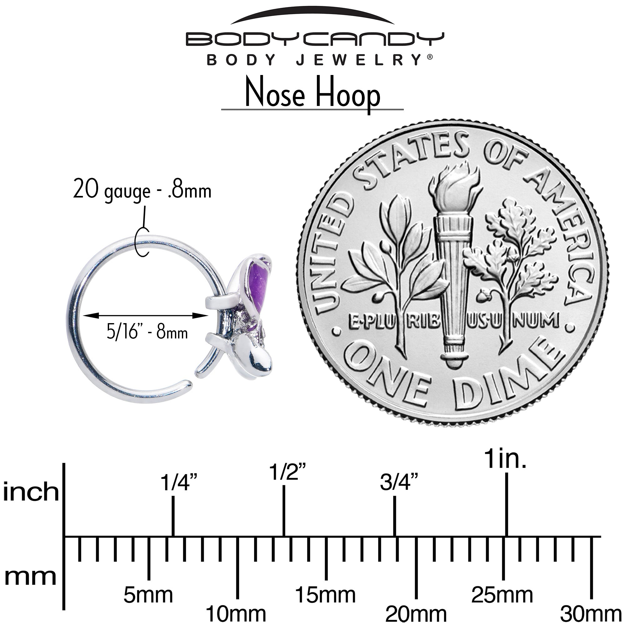 BodyCandy 20G 5/16 Clear Gem Chunky Butterfly Purple Nose Hoop — alternative angle