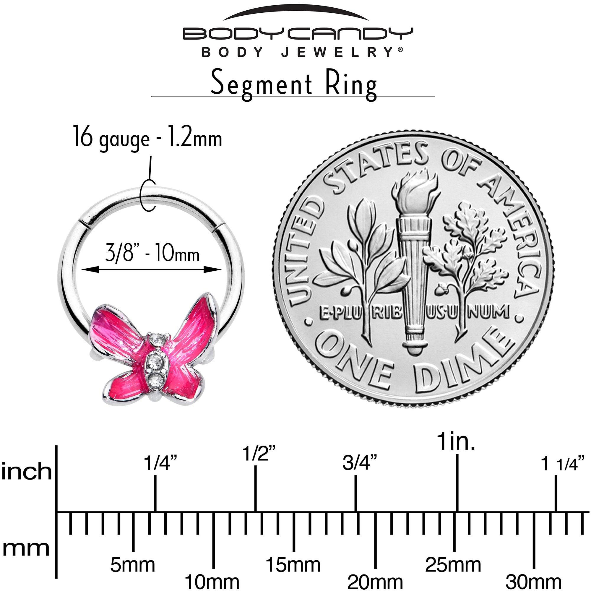 BodyCandy 16G 3/8 Clear Gem Chunky Butterfly Pink Hinged Segment Ring — back view