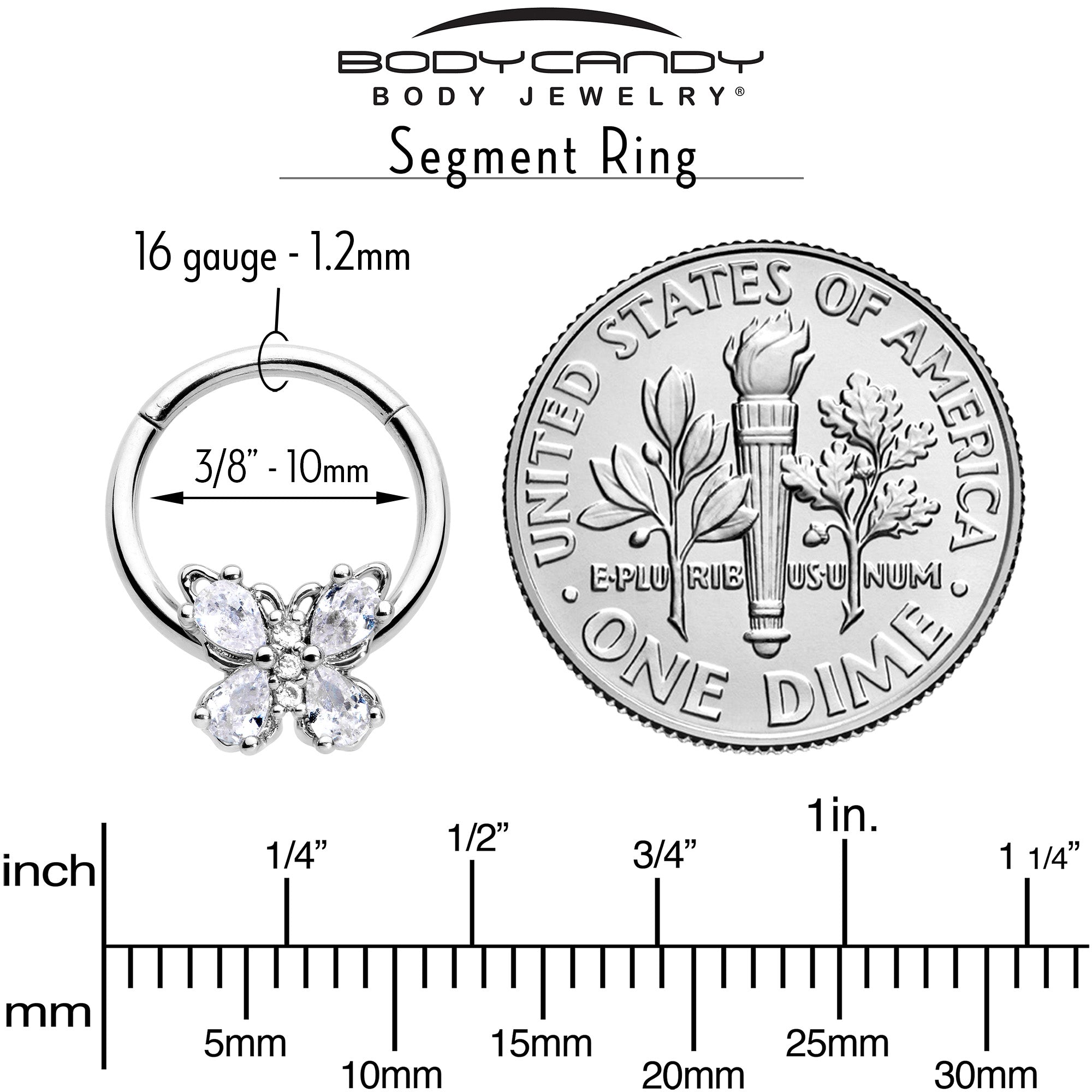 BodyCandy 16G 3/8 Clear Gem Baroque Beauty Butterfly Hinged Segment Ring — back view