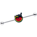 BodyCandy 14G Watermelon Cat Love Industrial Barbell 38mm — main product shot