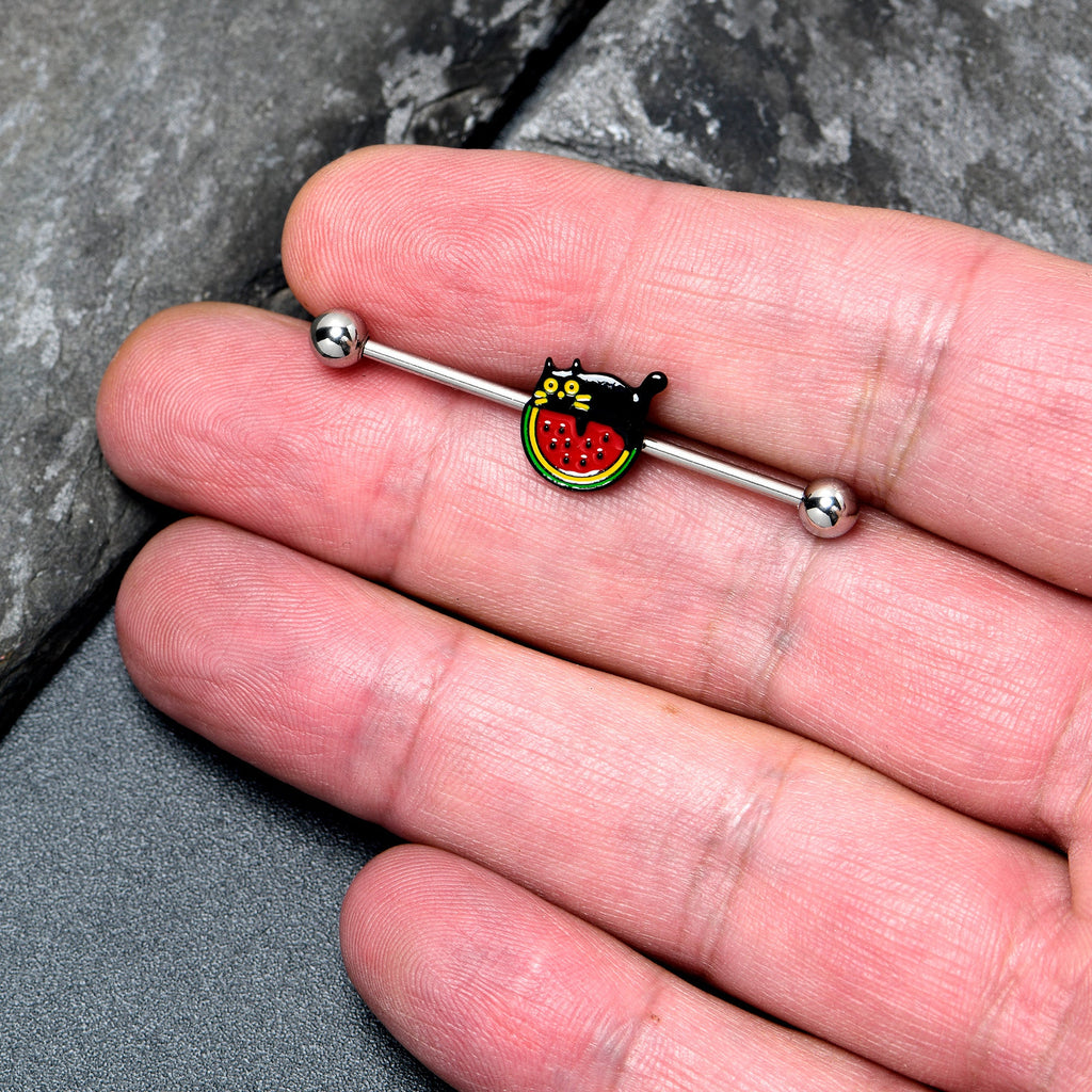 BodyCandy 14G Watermelon Cat Love Industrial Barbell 38mm — lifestyle context