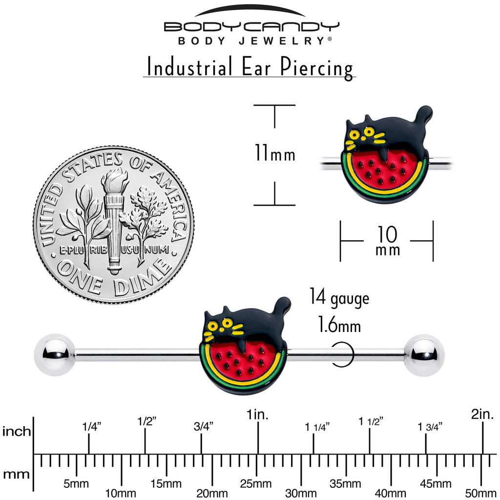 BodyCandy 14G Watermelon Cat Love Industrial Barbell 38mm — in-use photo