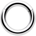 BodyCandy 14G 1/4 316L Surgical Steel Precision Hinged Segment Hoop — main product shot