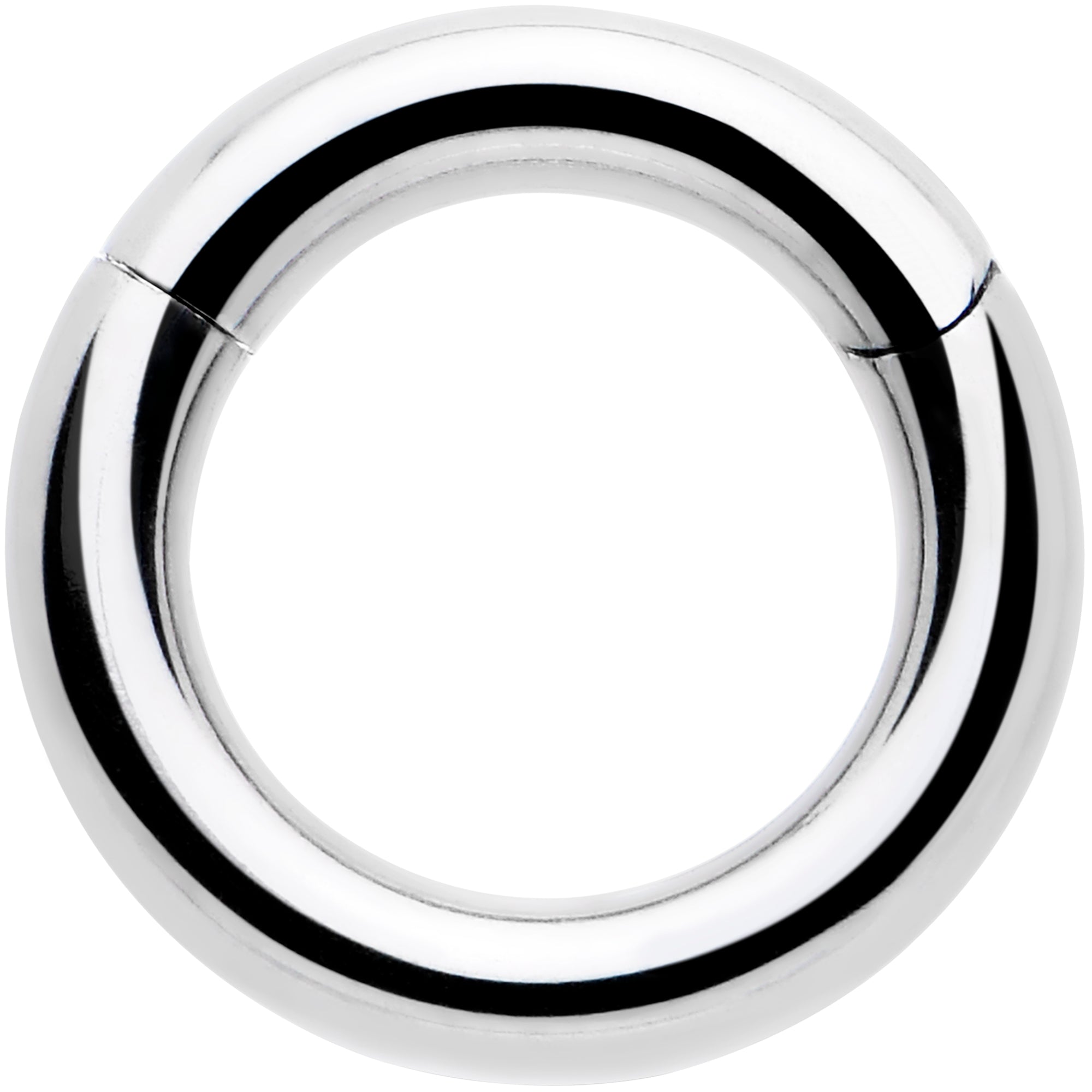 BodyCandy 14G 1/4 316L Surgical Steel Precision Hinged Segment Hoop — main product shot