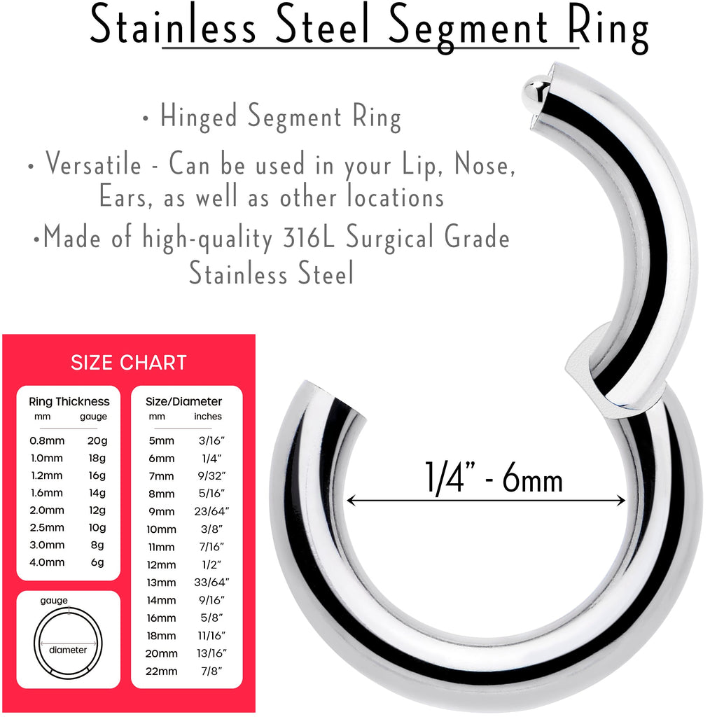BodyCandy 14G 1/4 316L Surgical Steel Precision Hinged Segment Hoop — lifestyle context