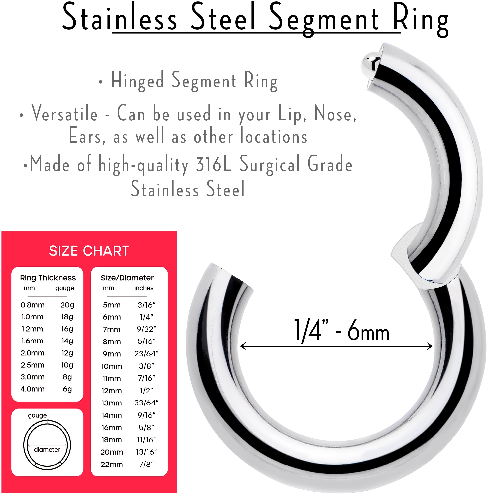 BodyCandy 14G 1/4 316L Surgical Steel Precision Hinged Segment Hoop — lifestyle context