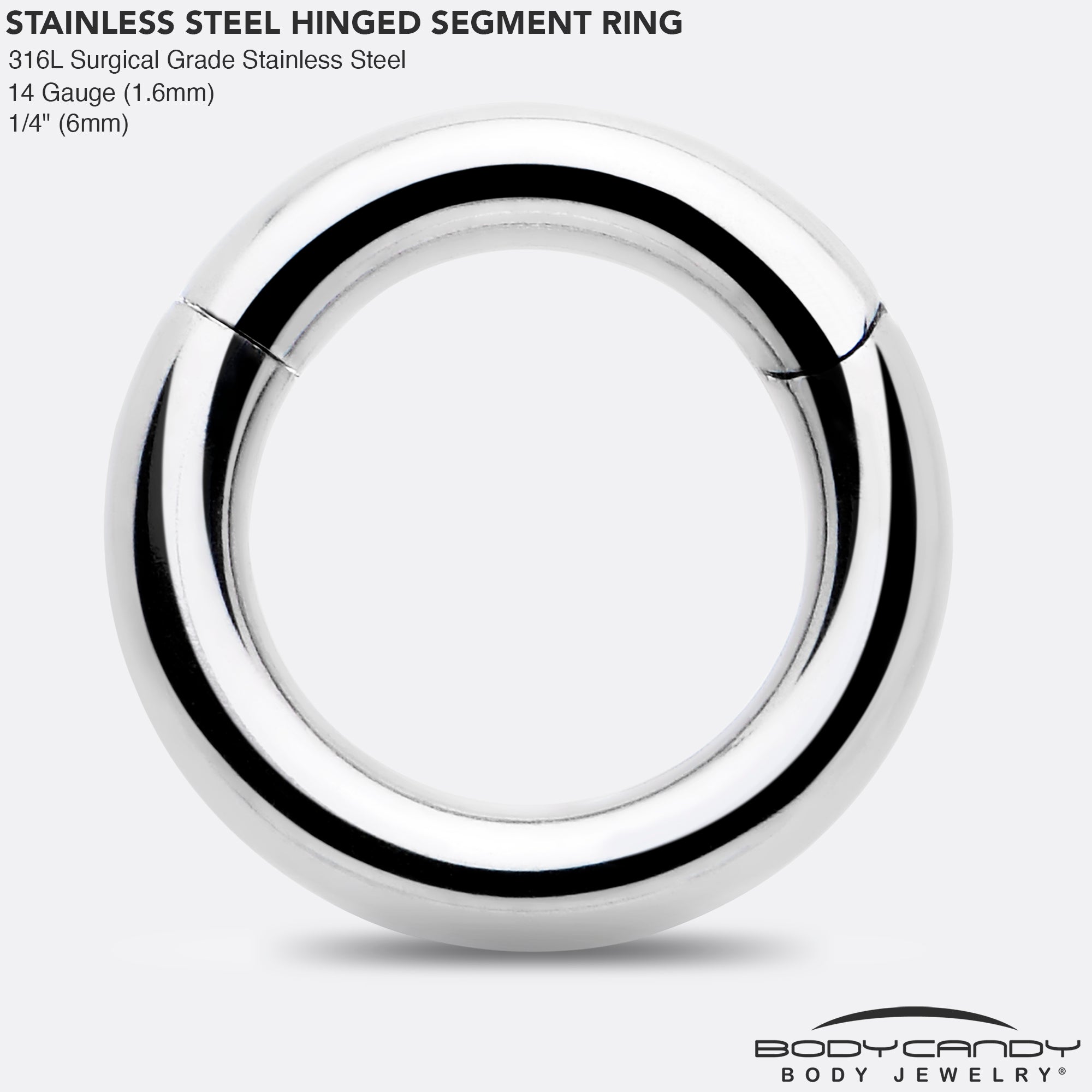 BodyCandy 14G 1/4 316L Surgical Steel Precision Hinged Segment Hoop — side view
