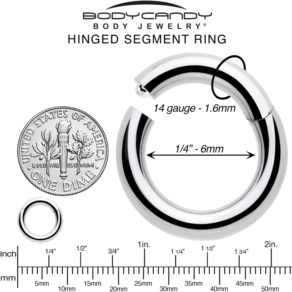 BodyCandy 14G 1/4 316L Surgical Steel Precision Hinged Segment Hoop — alternative angle