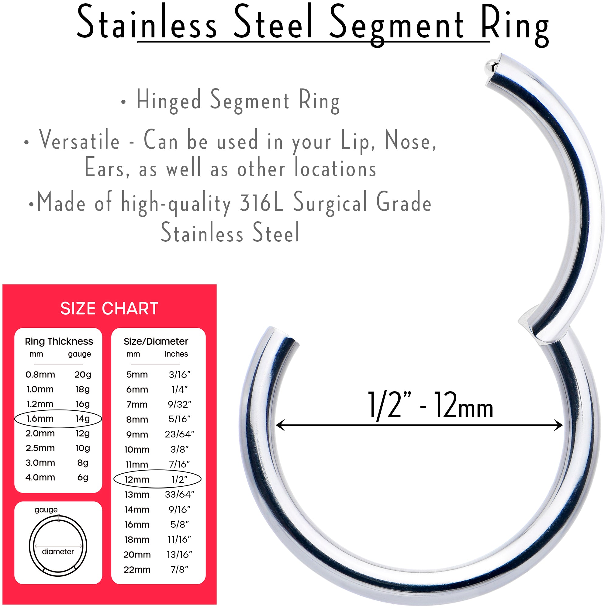 BodyCandy 14G 1/2 316L Surgical Steel Precision Hinged Segment Hoop — lifestyle context