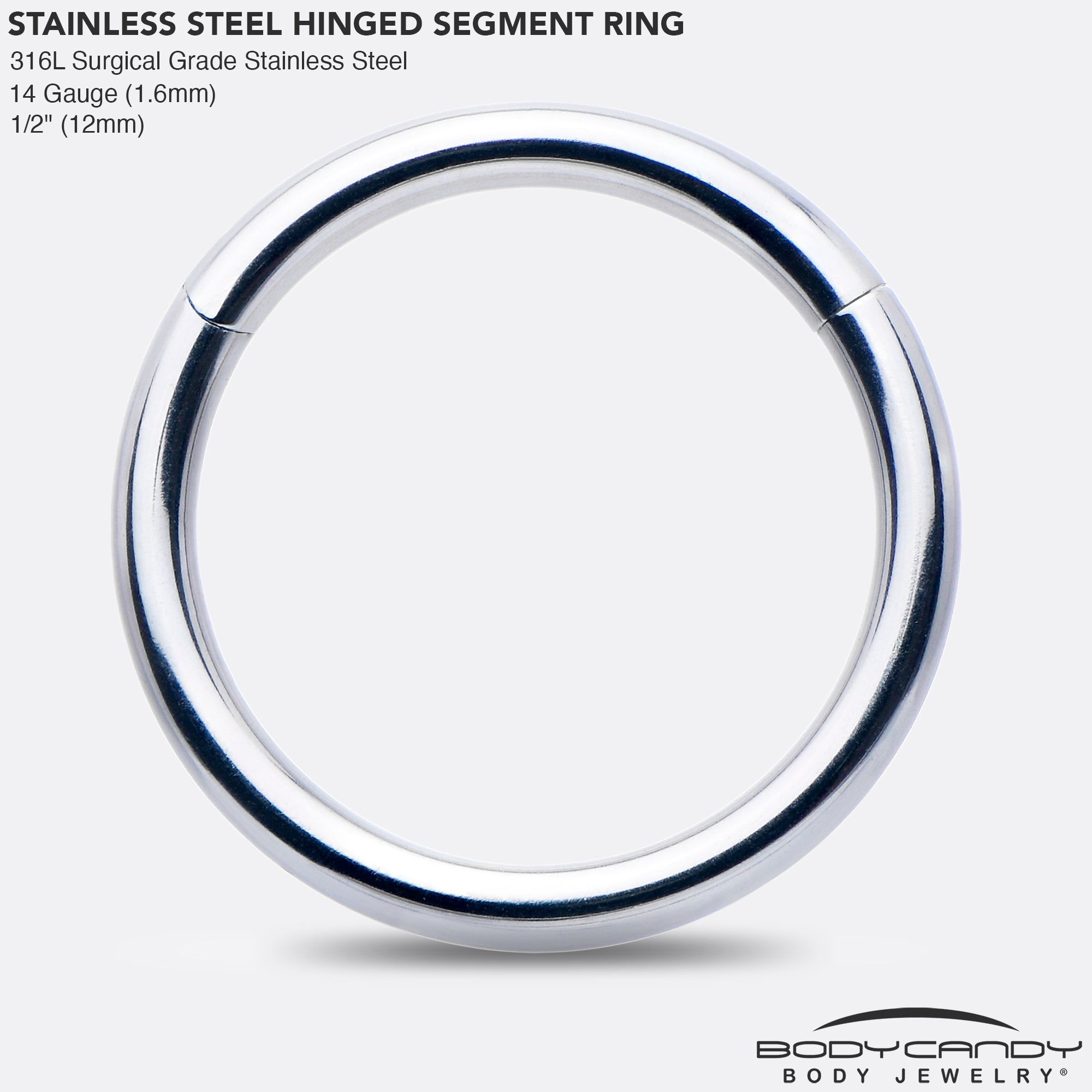 BodyCandy 14G 1/2 316L Surgical Steel Precision Hinged Segment Hoop — side view