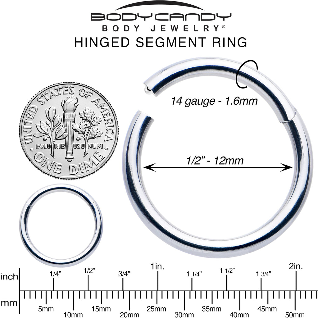 BodyCandy 14G 1/2 316L Surgical Steel Precision Hinged Segment Hoop — alternative angle