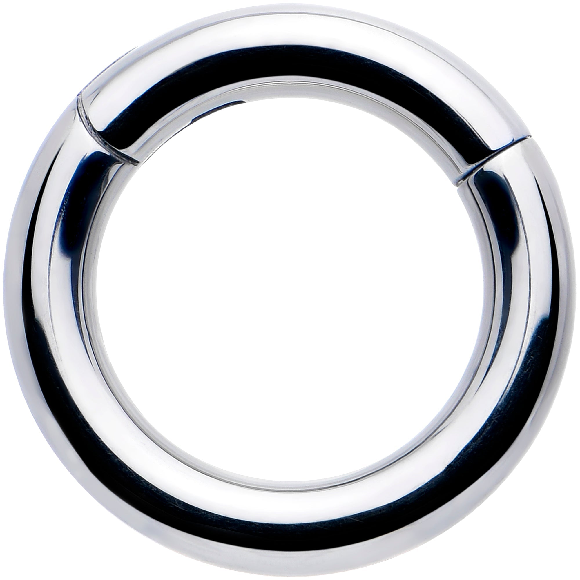 BodyCandy 12G 5/16 316L Surgical Steel Precision Hinged Segment Hoop — main product shot