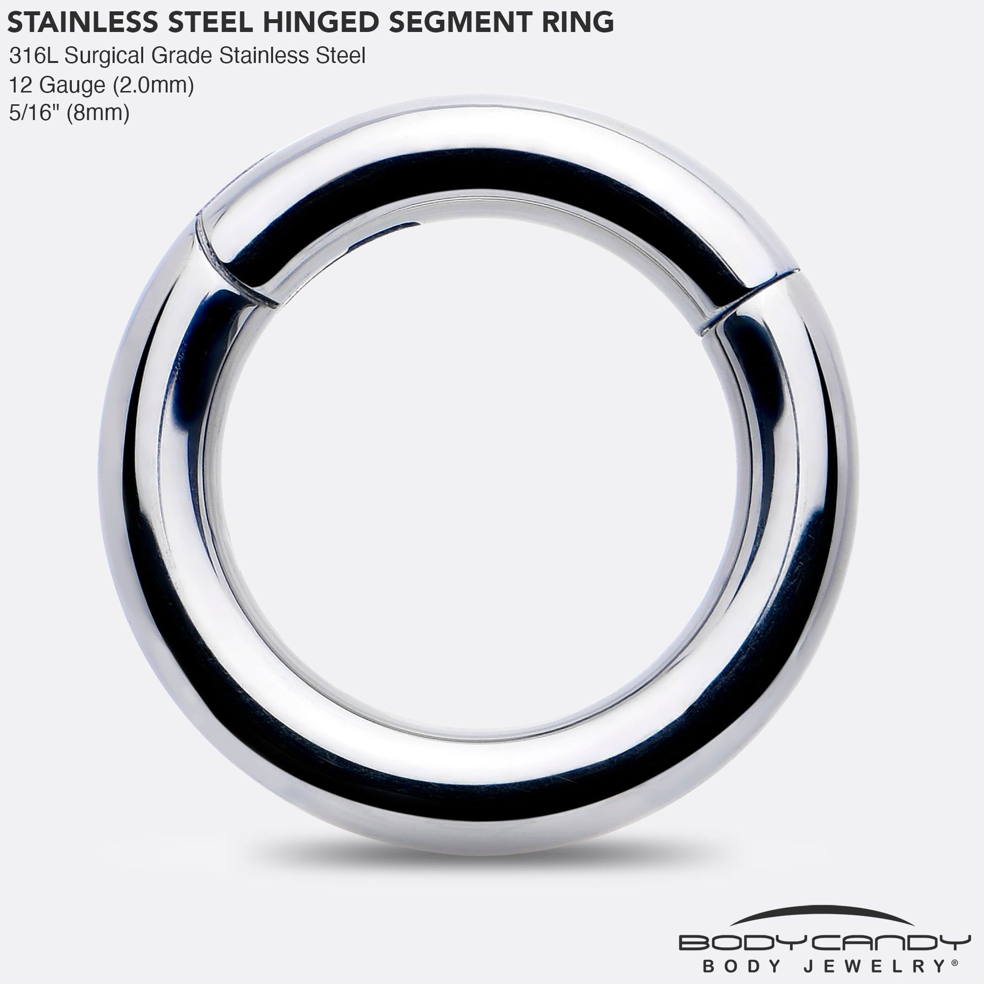 BodyCandy 12G 5/16 316L Surgical Steel Precision Hinged Segment Hoop — side view