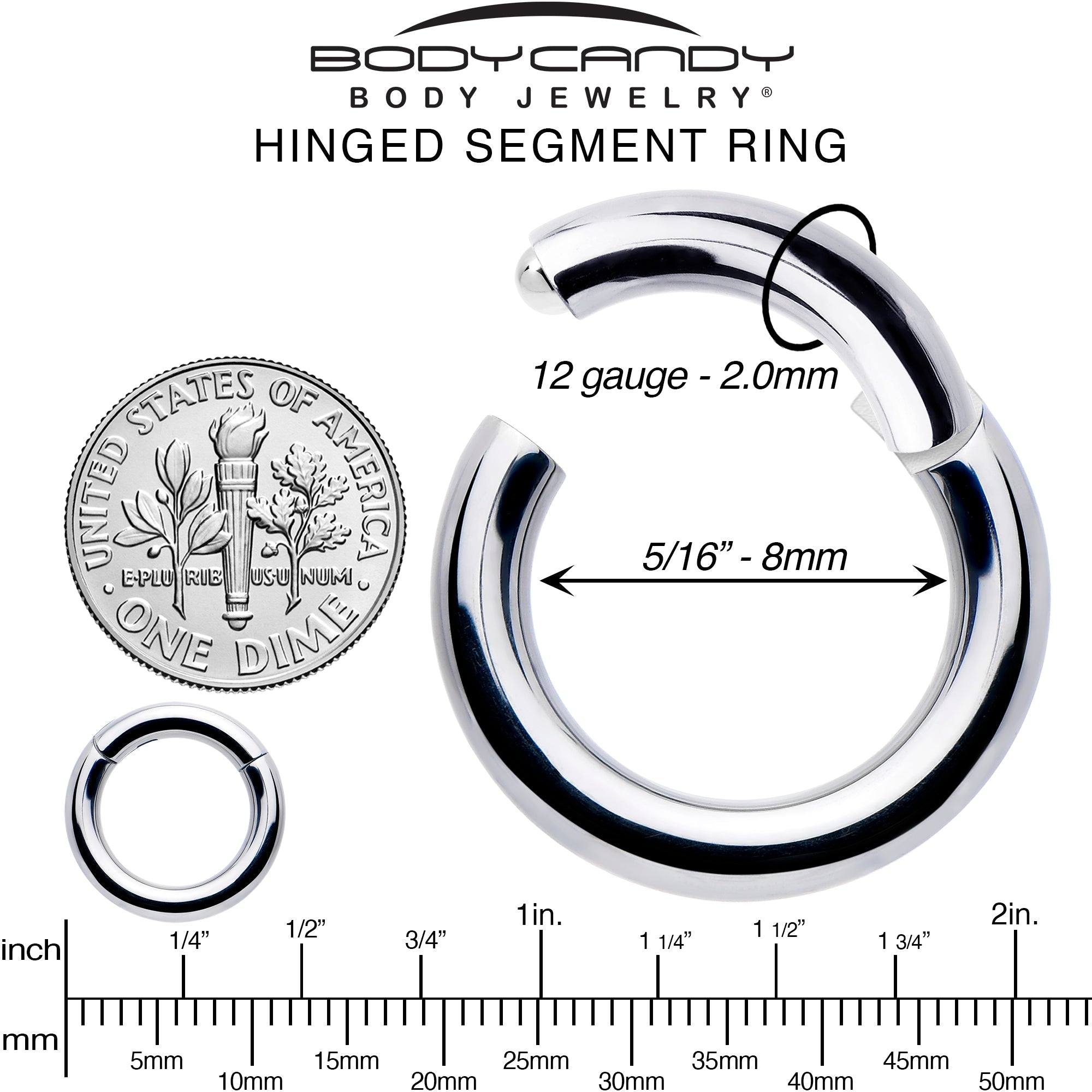 BodyCandy 12G 5/16 316L Surgical Steel Precision Hinged Segment Hoop — alternative angle