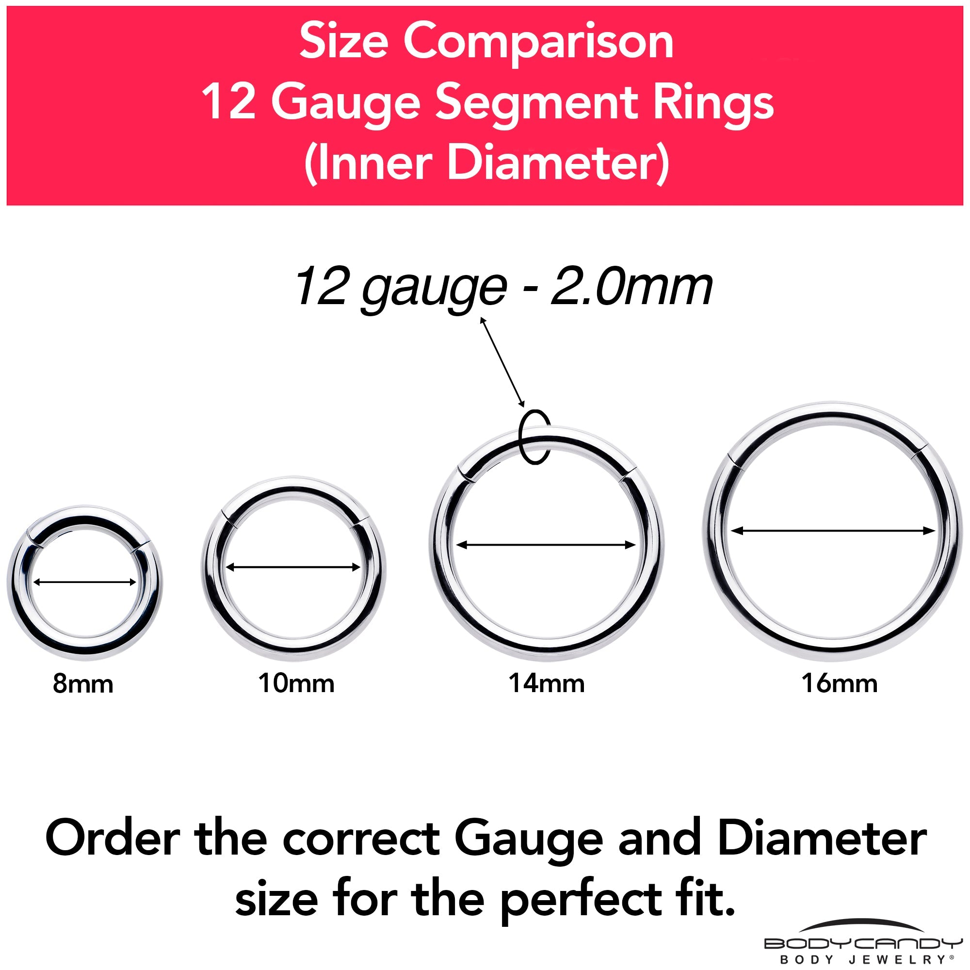 BodyCandy 12G 3/8 316L Surgical Steel Precision Hinged Segment Hoop — color detail