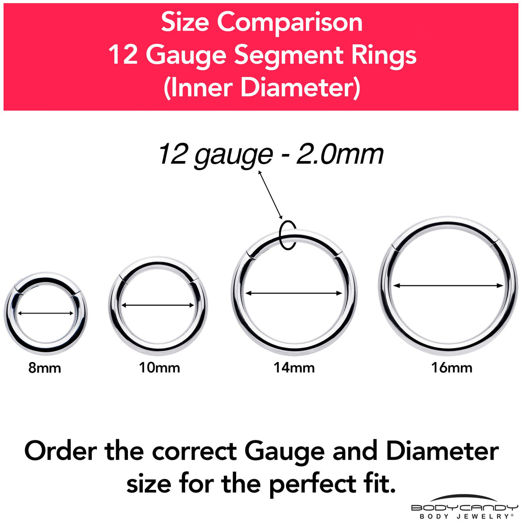 BodyCandy 12G 9/16 316L Surgical Steel Precision Hinged Segment Hoop — color detail