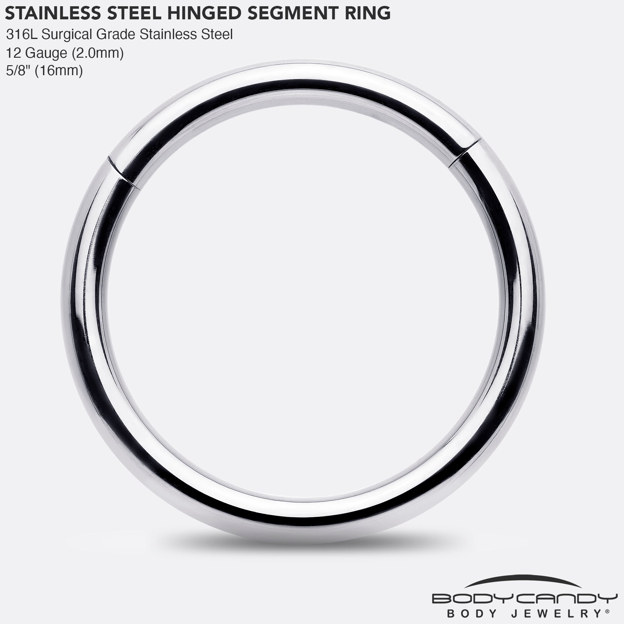 BodyCandy 12G 5/8 316L Surgical Steel Precision Hinged Segment Hoop — side view