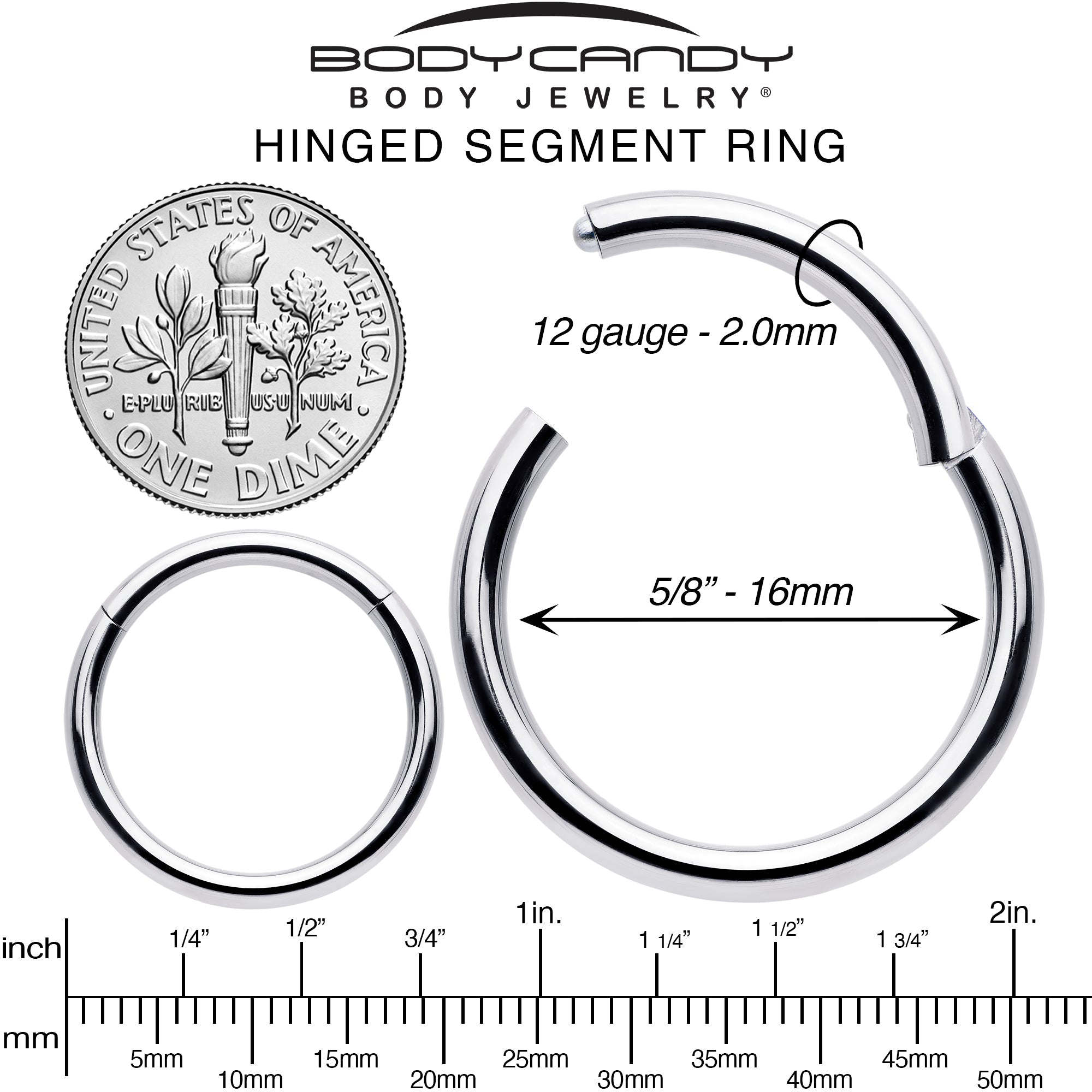 BodyCandy 12G 5/8 316L Surgical Steel Precision Hinged Segment Hoop — alternative angle