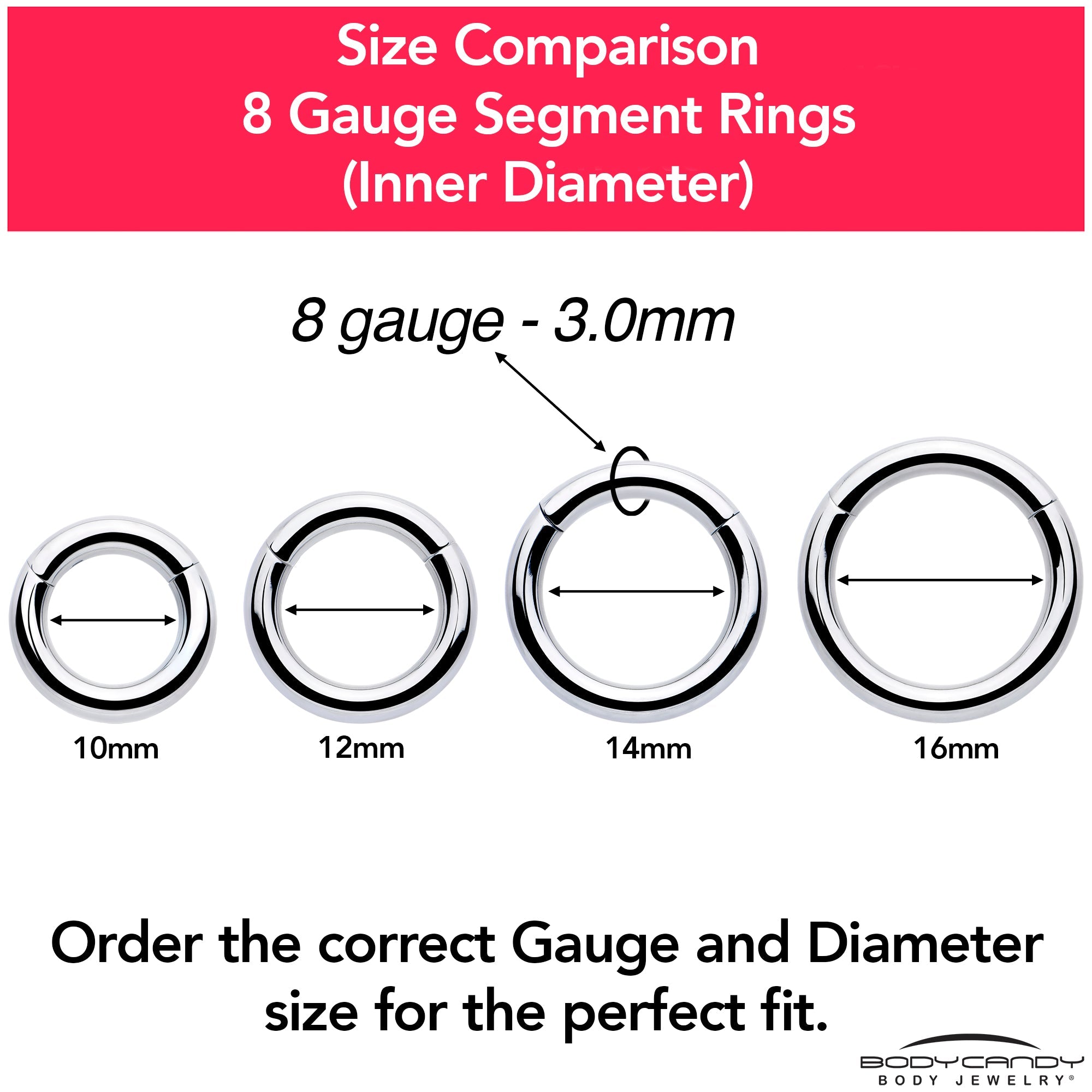 BodyCandy 8G 9/16 316L Surgical Steel Precision Hinged Segment Hoop — color detail