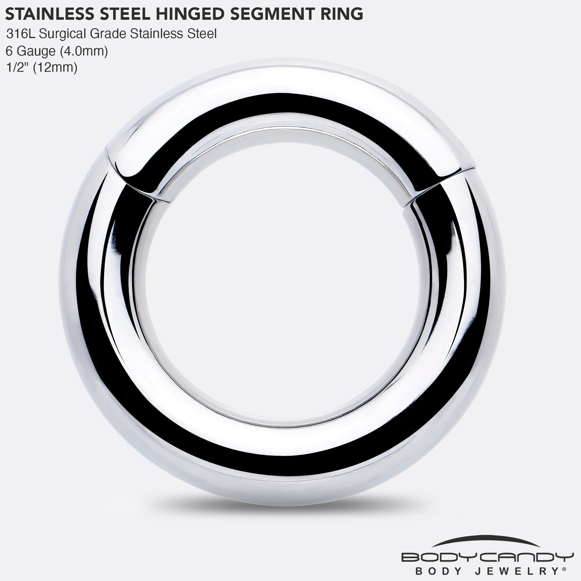 BodyCandy 6G 1/2 316L Surgical Steel Precision Hinged Segment Hoop — side view