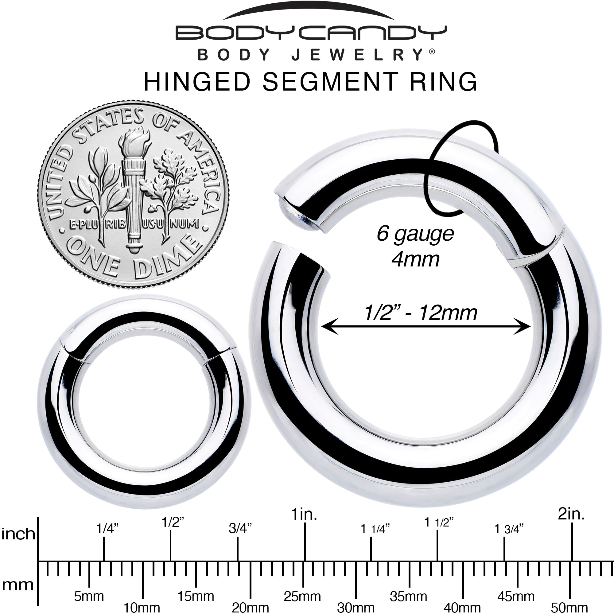 BodyCandy 6G 1/2 316L Surgical Steel Precision Hinged Segment Hoop — alternative angle