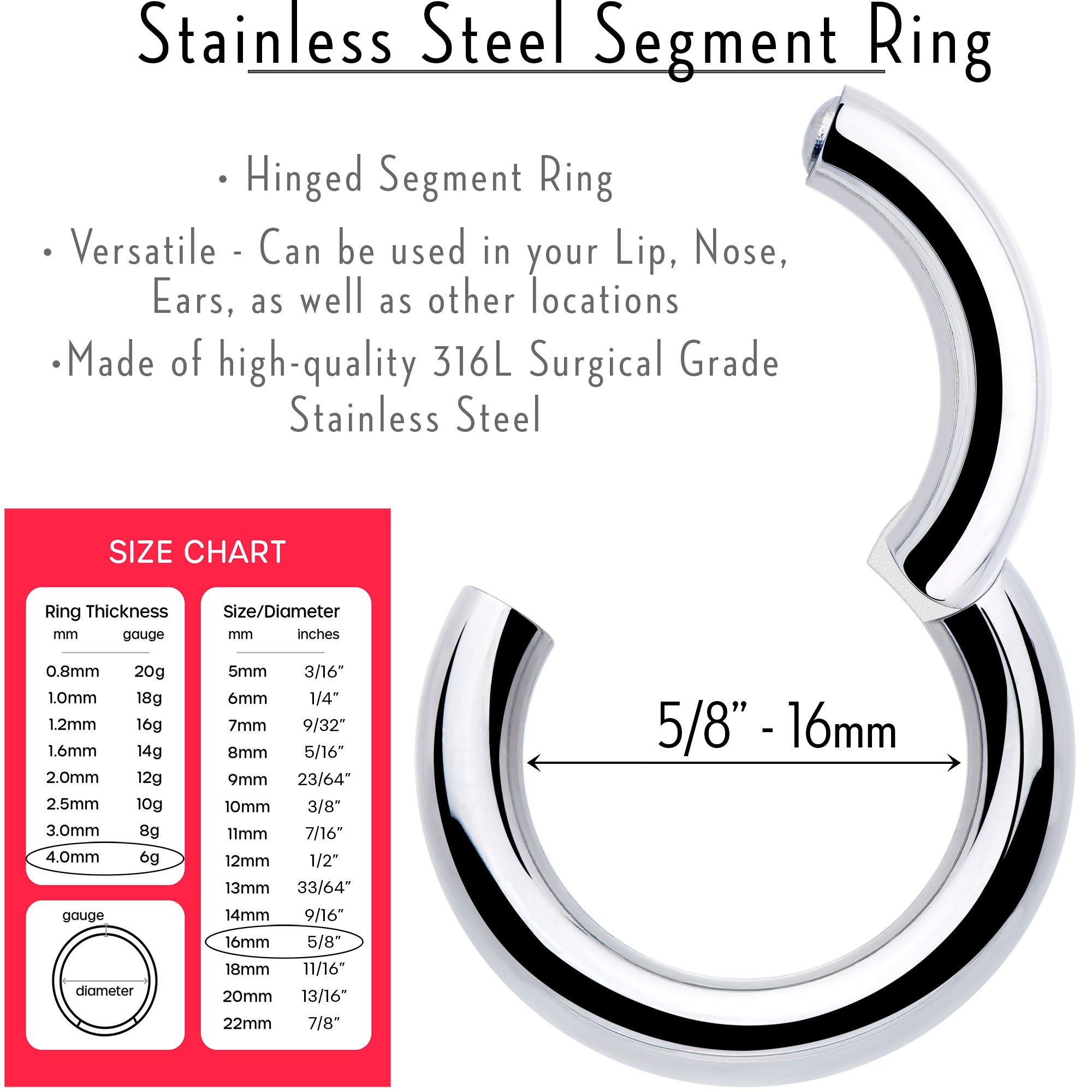 BodyCandy 6G 5/8 316L Surgical Steel Precision Hinged Segment Hoop — lifestyle context