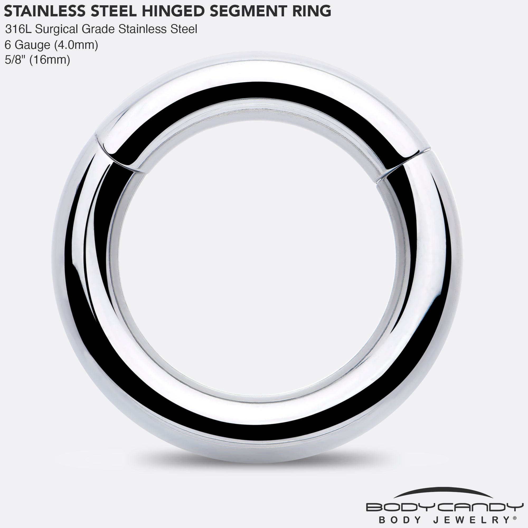 BodyCandy 6G 5/8 316L Surgical Steel Precision Hinged Segment Hoop — side view