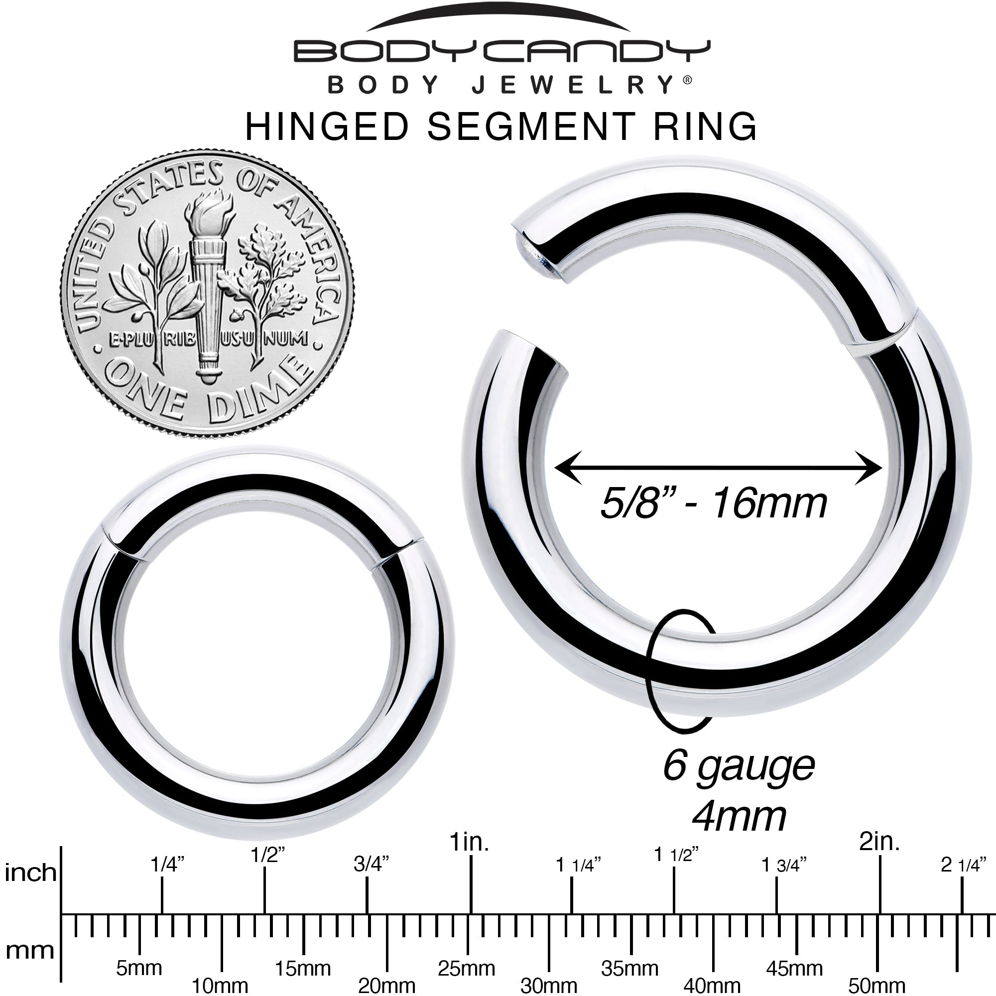 BodyCandy 6G 5/8 316L Surgical Steel Precision Hinged Segment Hoop — alternative angle