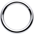 BodyCandy 10G 5/8 316L Surgical Steel Precision Hinged Segment Hoop — main product shot