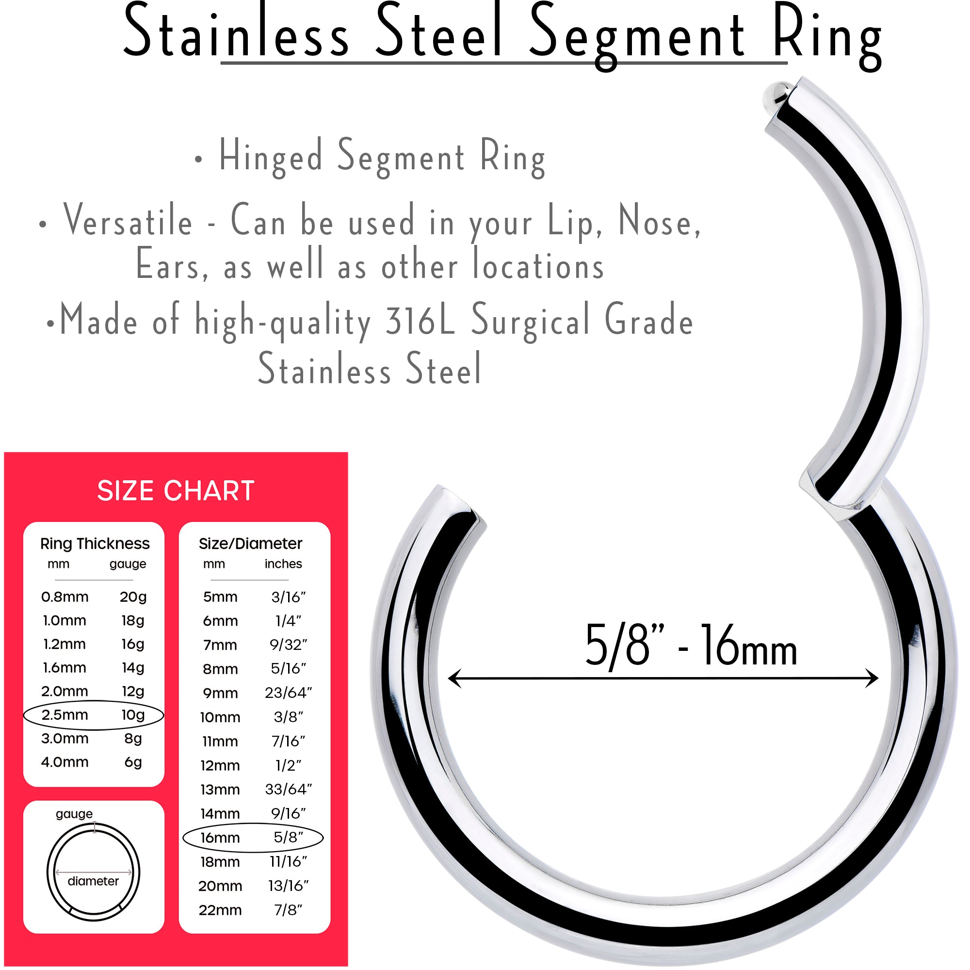 BodyCandy 10G 5/8 316L Surgical Steel Precision Hinged Segment Hoop — lifestyle context