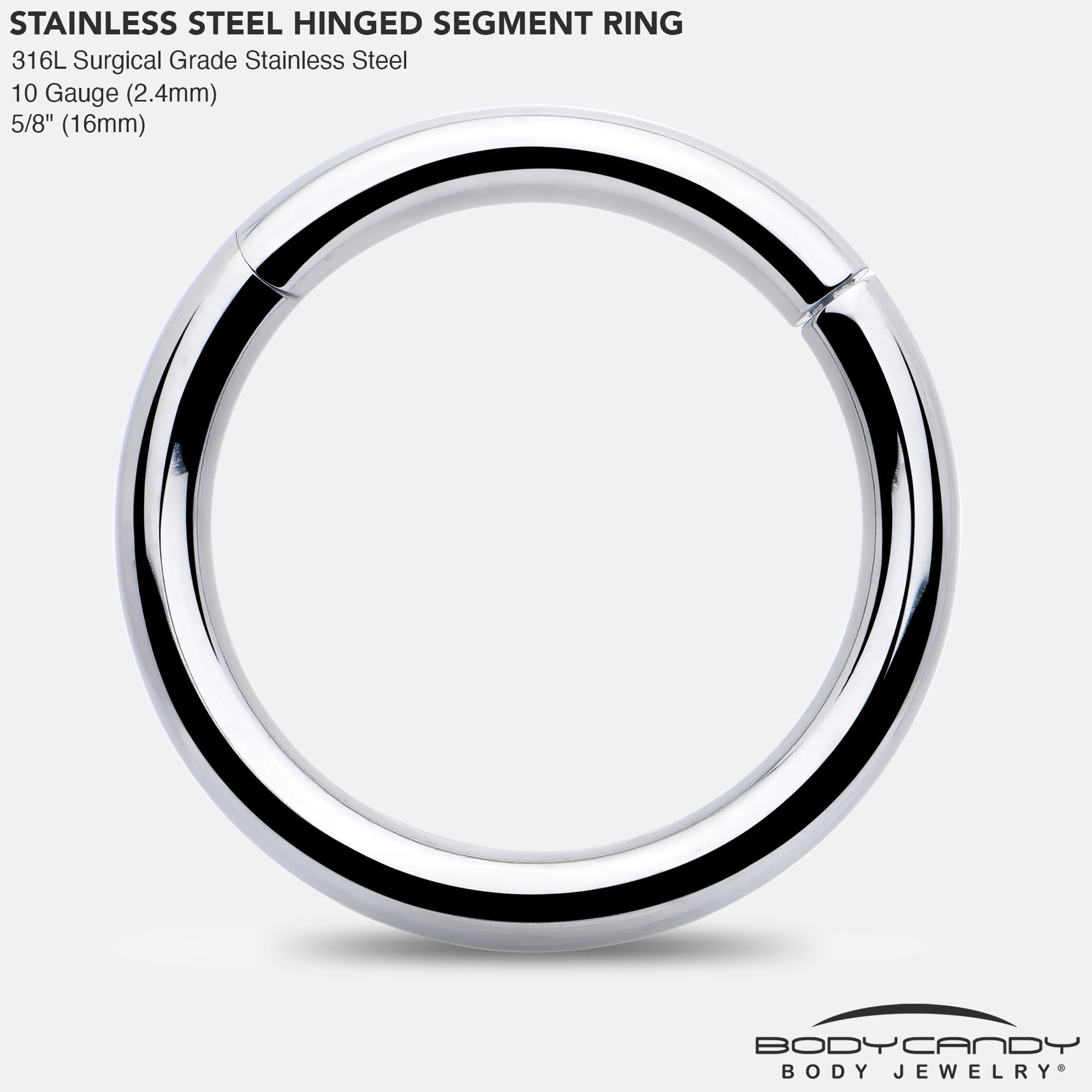 BodyCandy 10G 5/8 316L Surgical Steel Precision Hinged Segment Hoop — side view