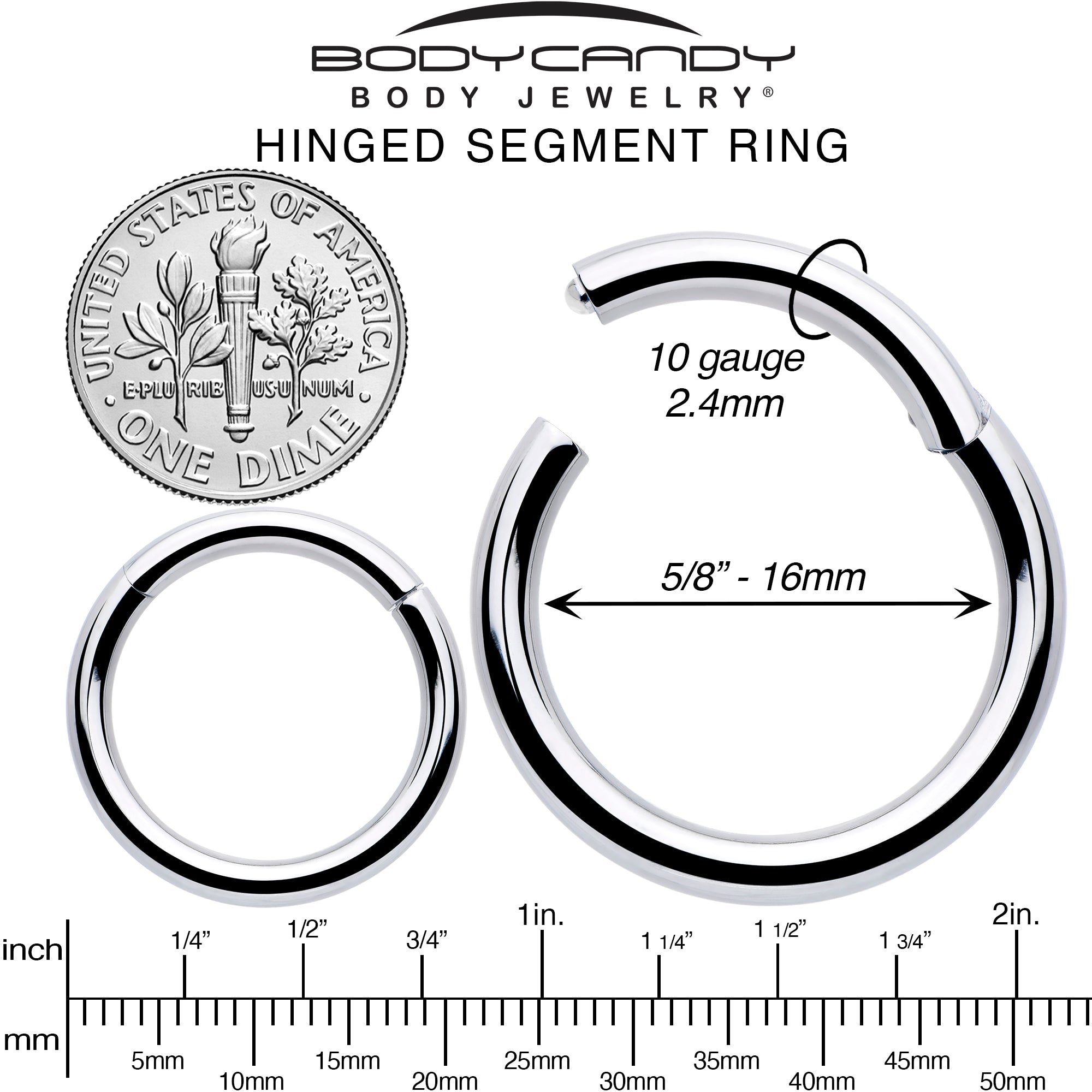 BodyCandy 10G 5/8 316L Surgical Steel Precision Hinged Segment Hoop — alternative angle