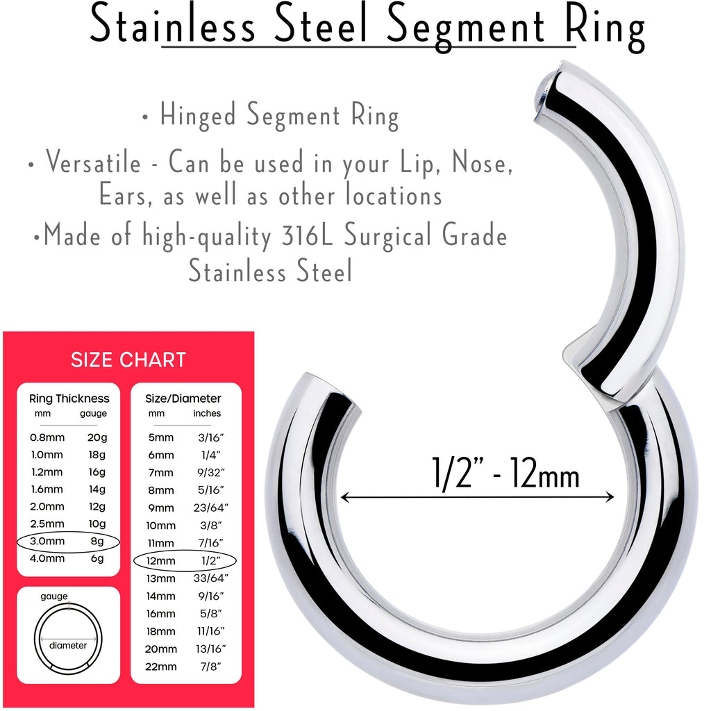 BodyCandy 8G 1/2 316L Surgical Steel Precision Hinged Segment Hoop — lifestyle context