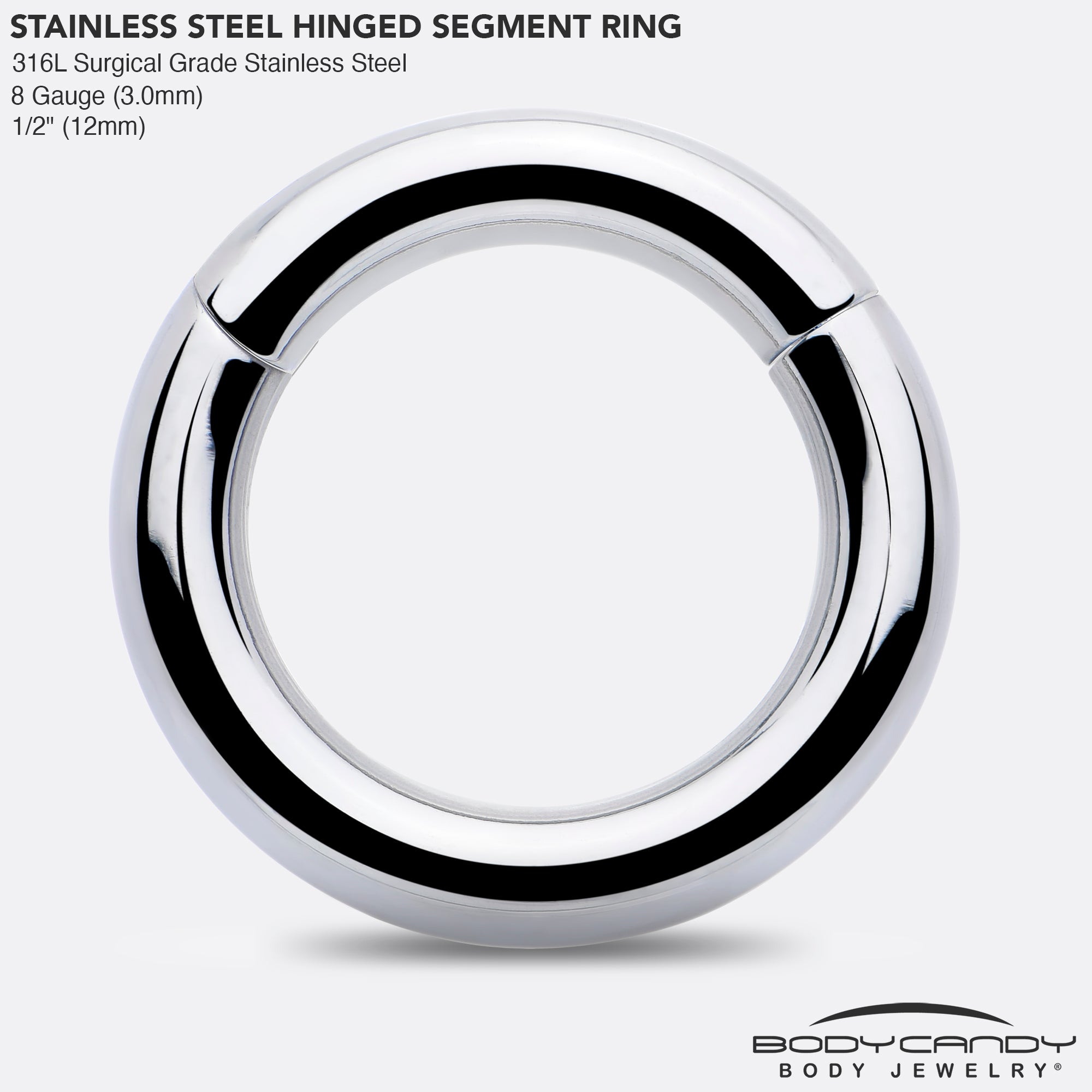 BodyCandy 8G 1/2 316L Surgical Steel Precision Hinged Segment Hoop — side view
