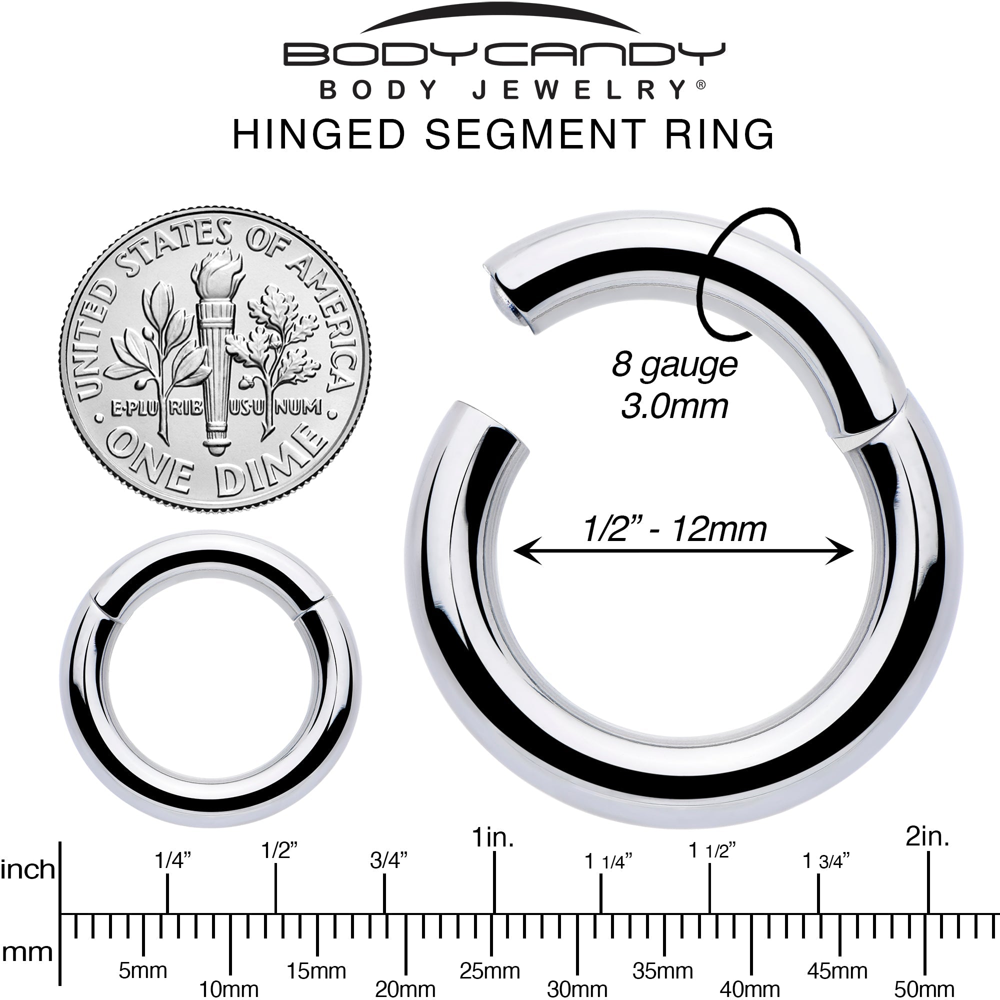 BodyCandy 8G 1/2 316L Surgical Steel Precision Hinged Segment Hoop — alternative angle
