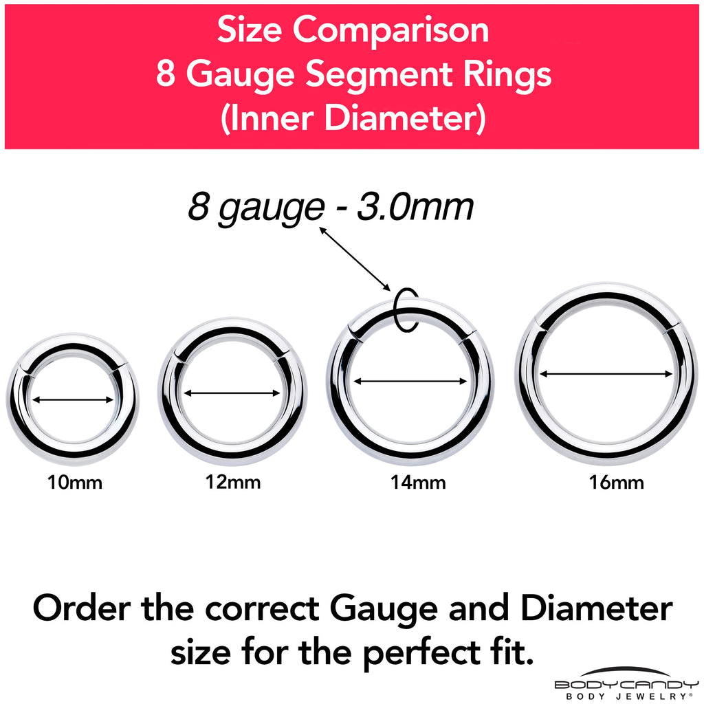 BodyCandy 8G 1/2 316L Surgical Steel Precision Hinged Segment Hoop — color detail