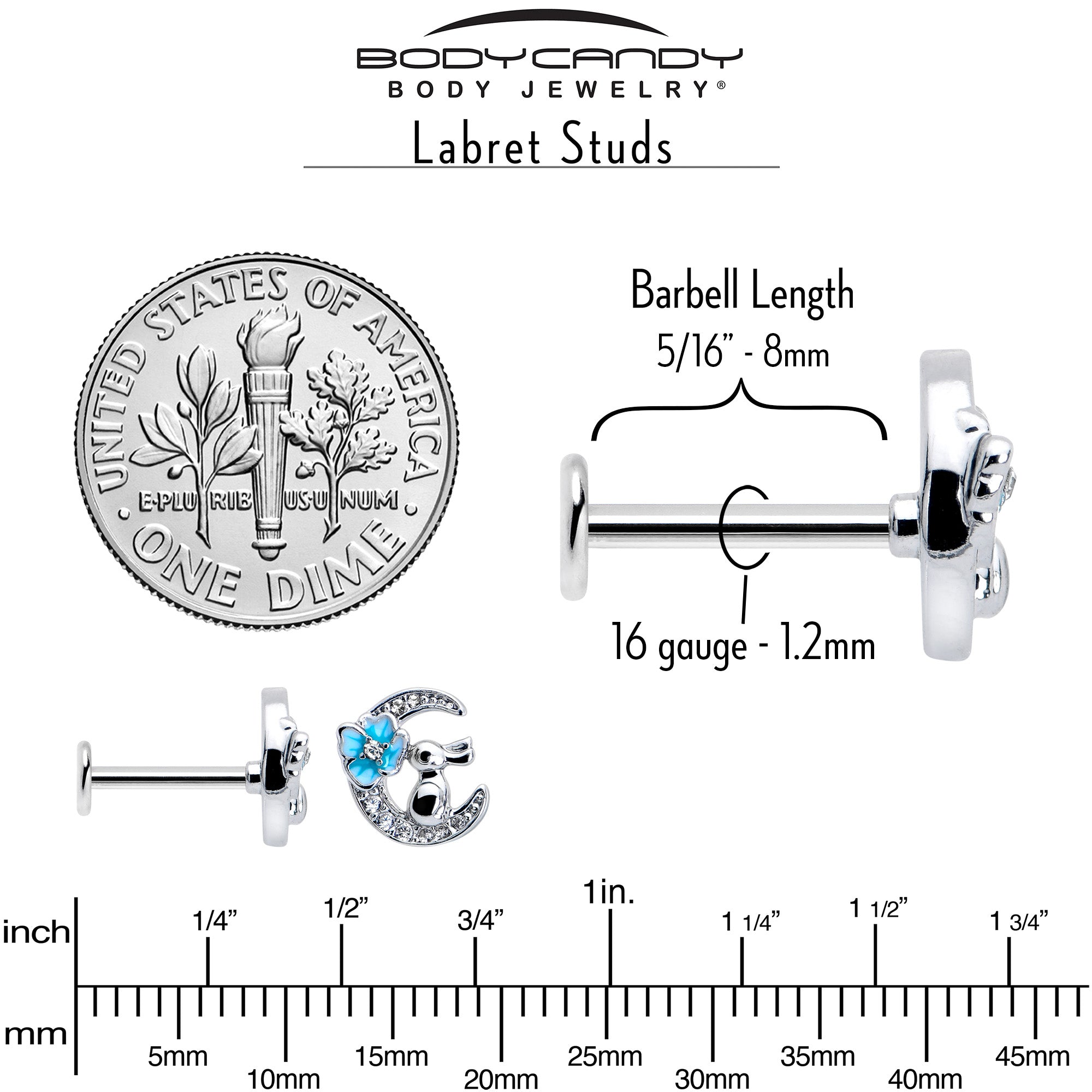 BodyCandy 16G 5/16 Clear CZ Gem Rabbit Moon Blue Internally Threaded Labret — back view