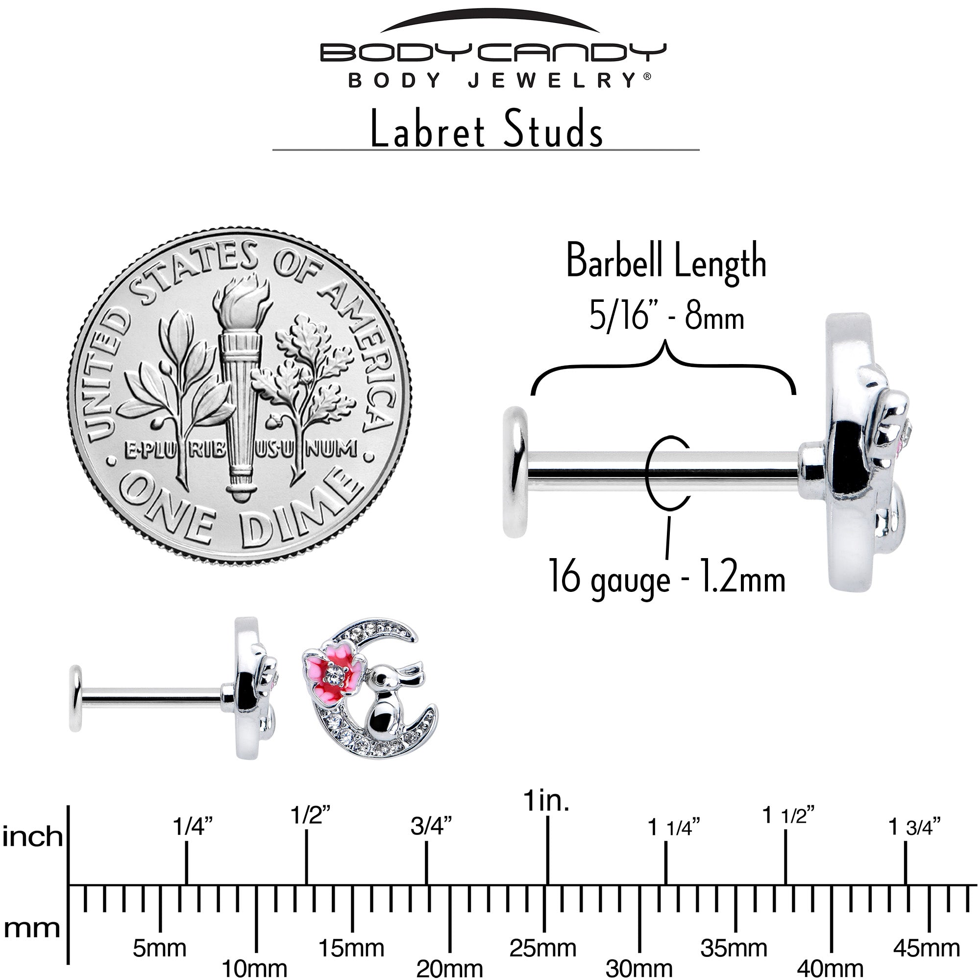 BodyCandy 16G 5/16 Clear CZ Gem Rabbit Moon Pink Internally Threaded Labret — back view