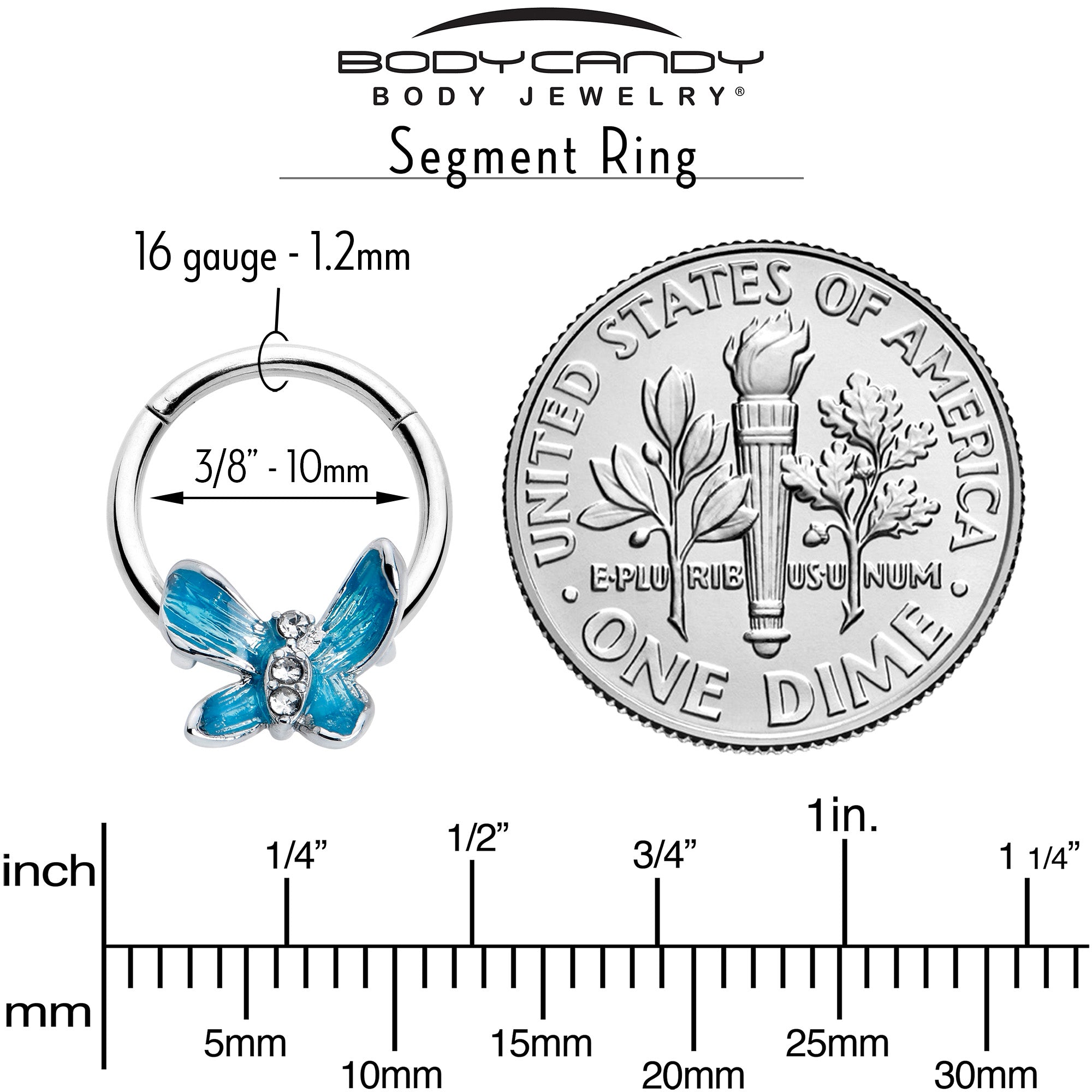BodyCandy 16G 3/8 Clear Gem Chunky Butterfly Blue Hinged Segment Ring — back view