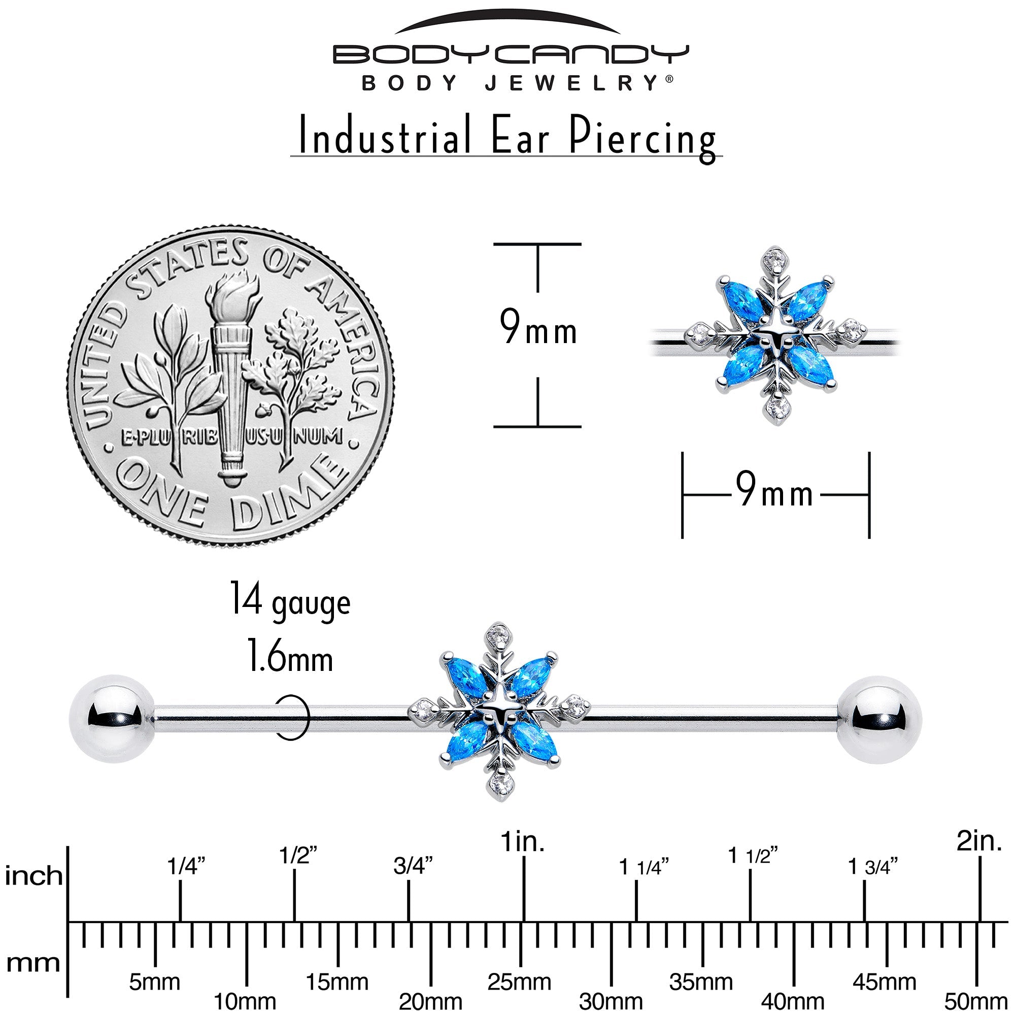 BodyCandy 14G Blue CZ Gem Classic Flower Industrial Barbell 38mm — back view