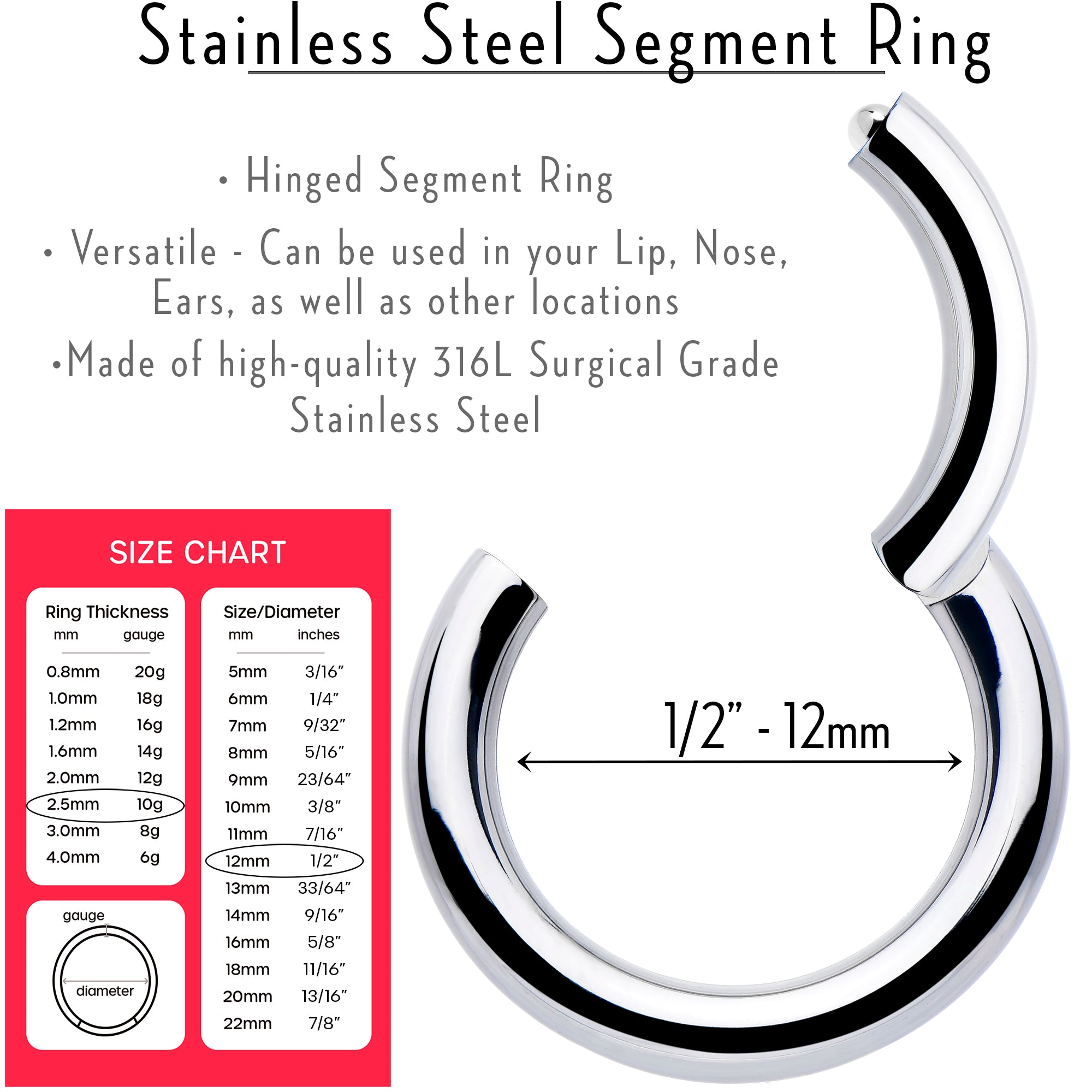 BodyCandy 10G 1/2 316L Surgical Steel Precision Hinged Segment Hoop — lifestyle context
