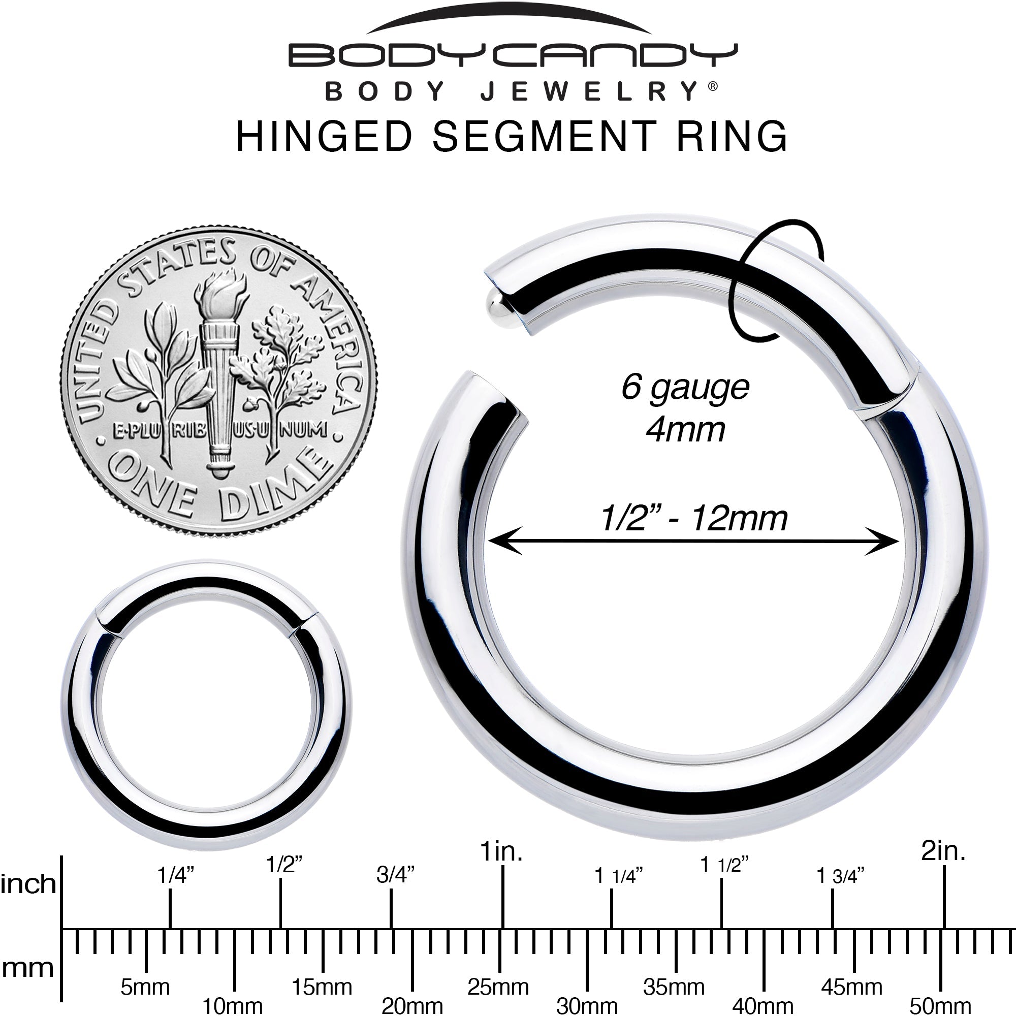 BodyCandy 10G 1/2 316L Surgical Steel Precision Hinged Segment Hoop — alternative angle