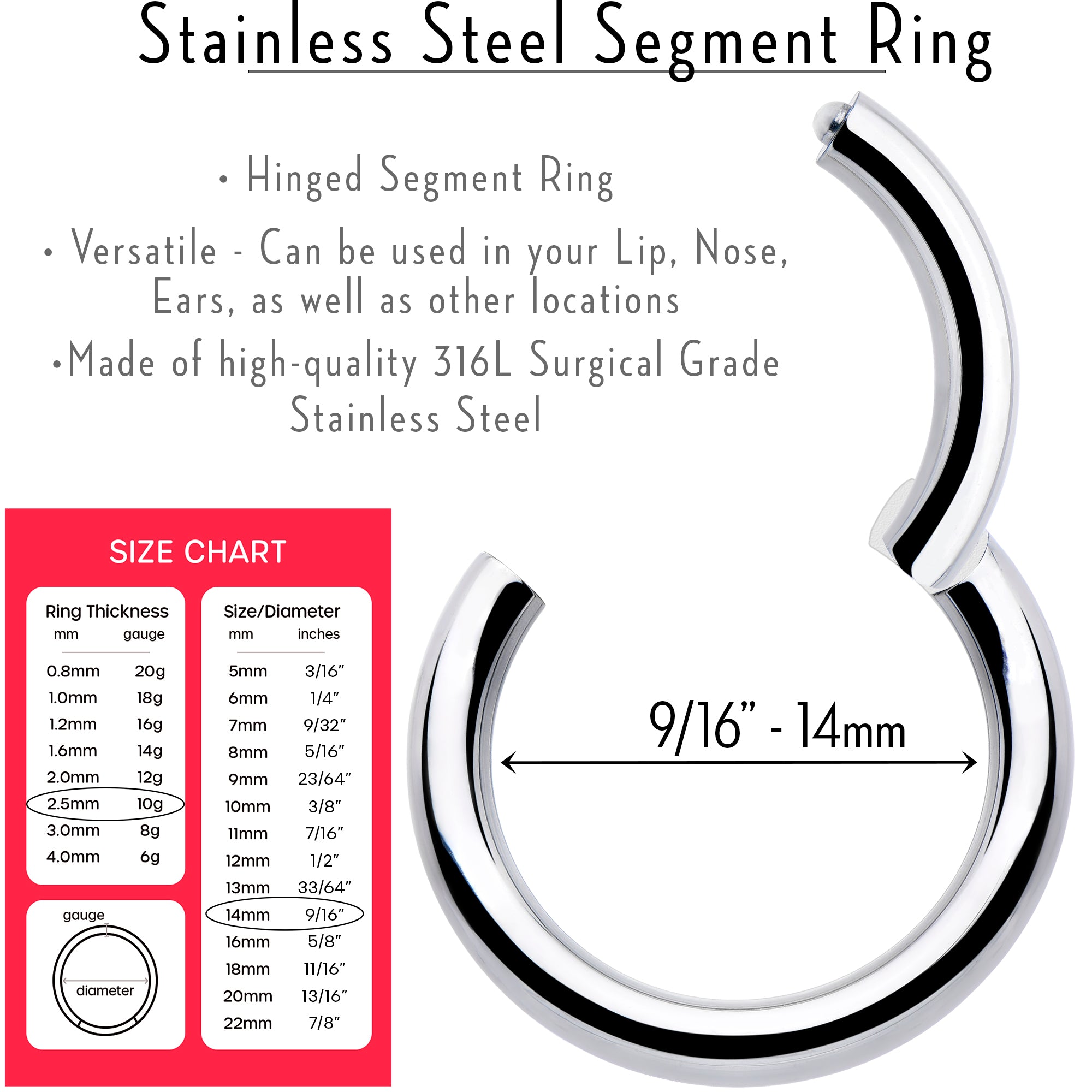 BodyCandy 10G 9/16 316L Surgical Steel Precision Hinged Segment Hoop — lifestyle context