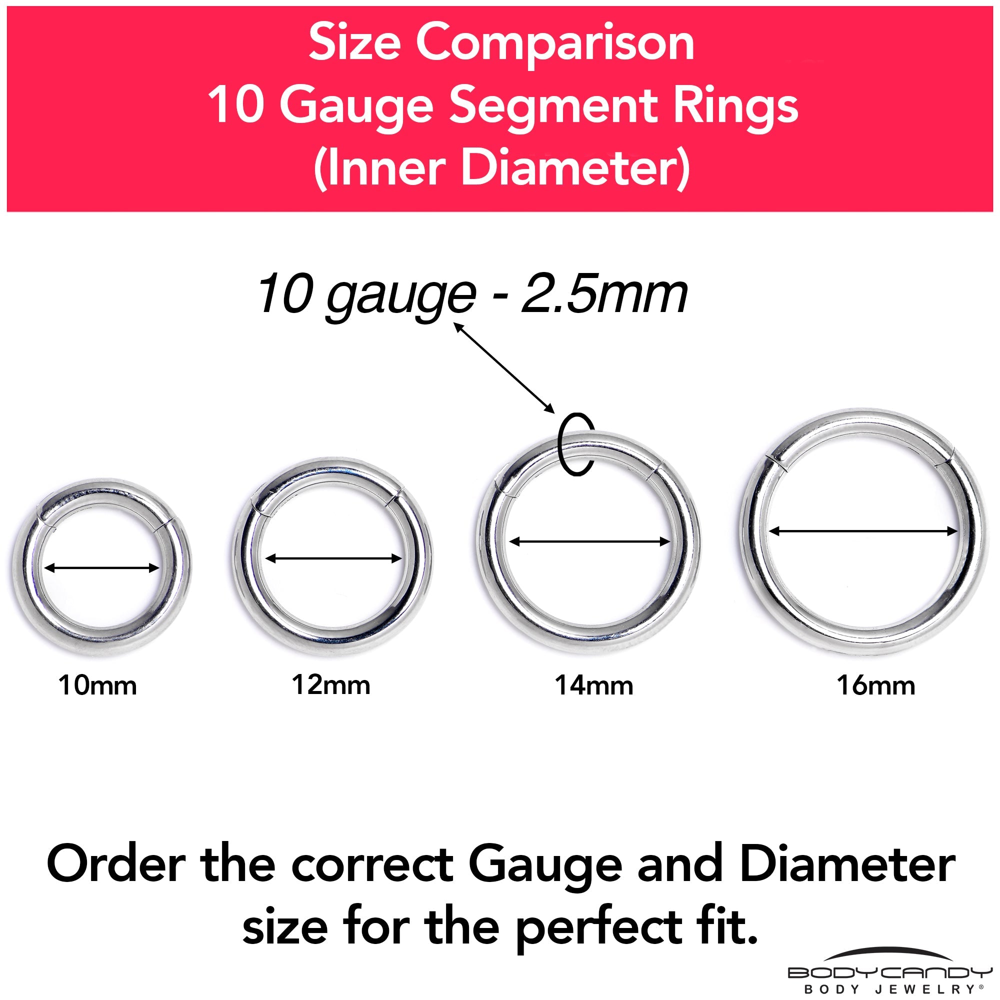 BodyCandy 10G 9/16 316L Surgical Steel Precision Hinged Segment Hoop — color detail
