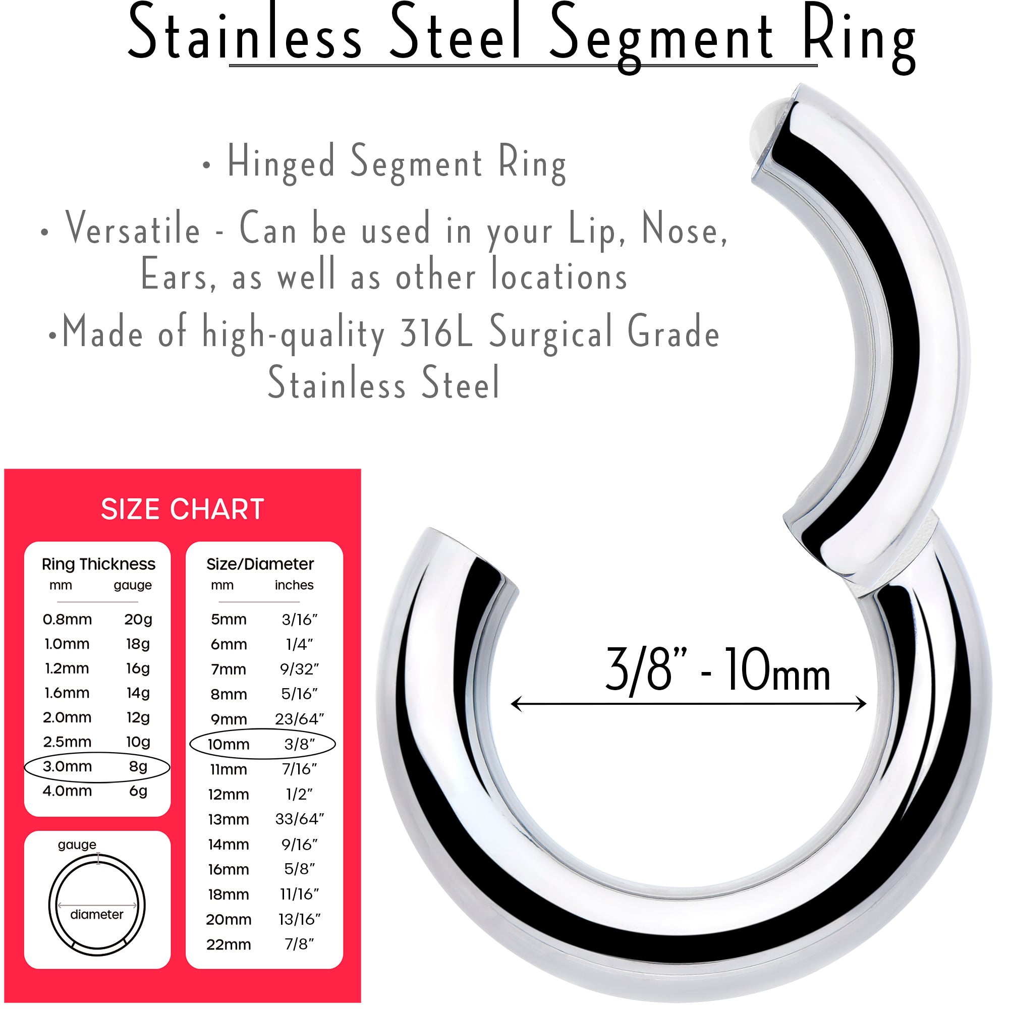 BodyCandy 8G 3/8 316L Surgical Steel Precision Hinged Segment Hoop — lifestyle context