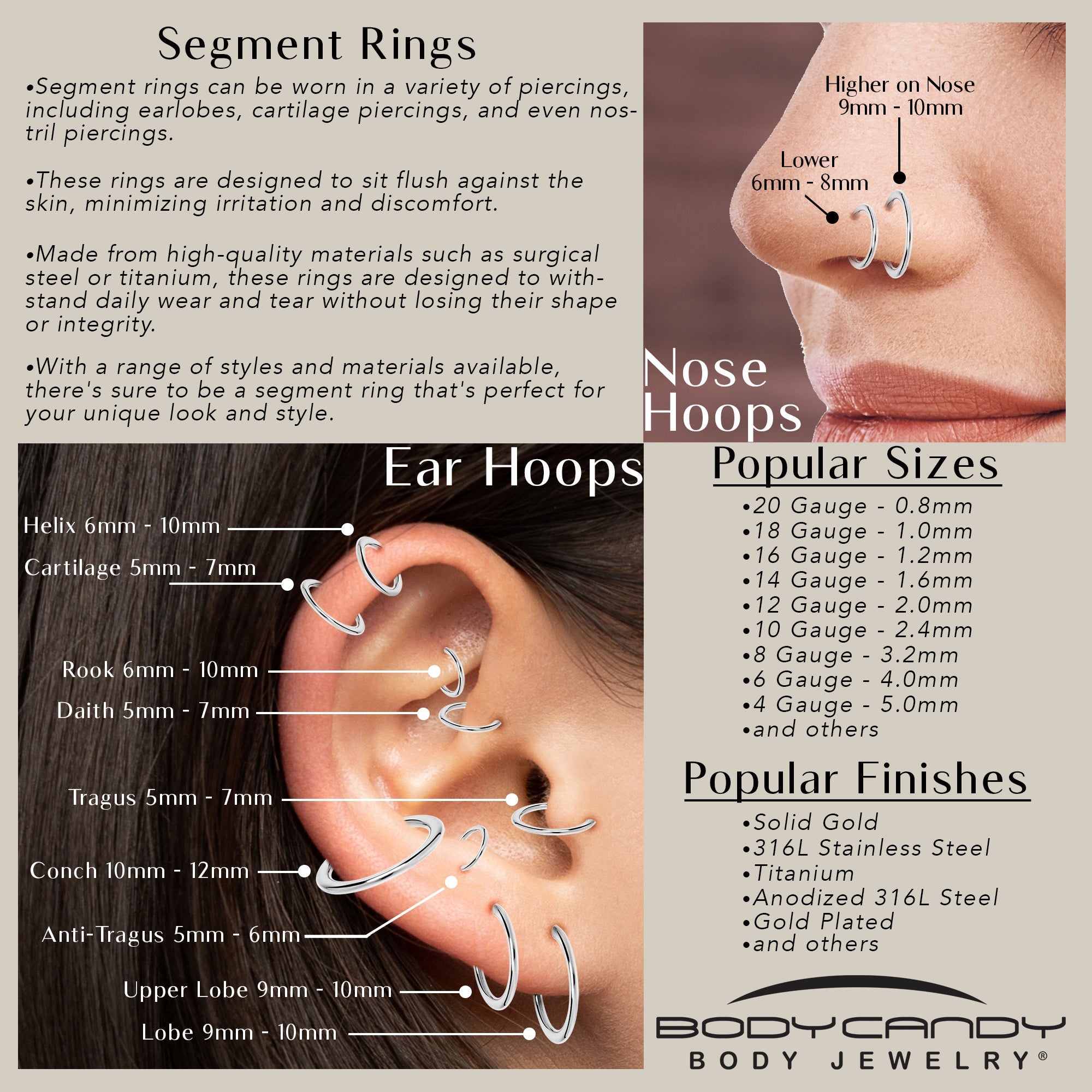 BodyCandy 8G 3/8 316L Surgical Steel Precision Hinged Segment Hoop — back view