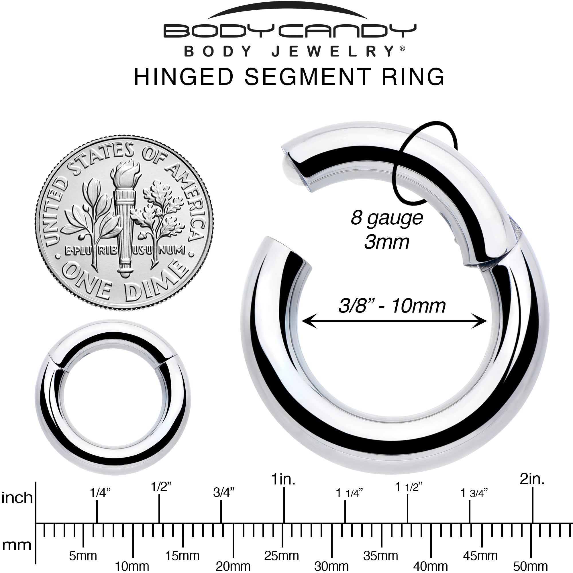 BodyCandy 8G 3/8 316L Surgical Steel Precision Hinged Segment Hoop — alternative angle