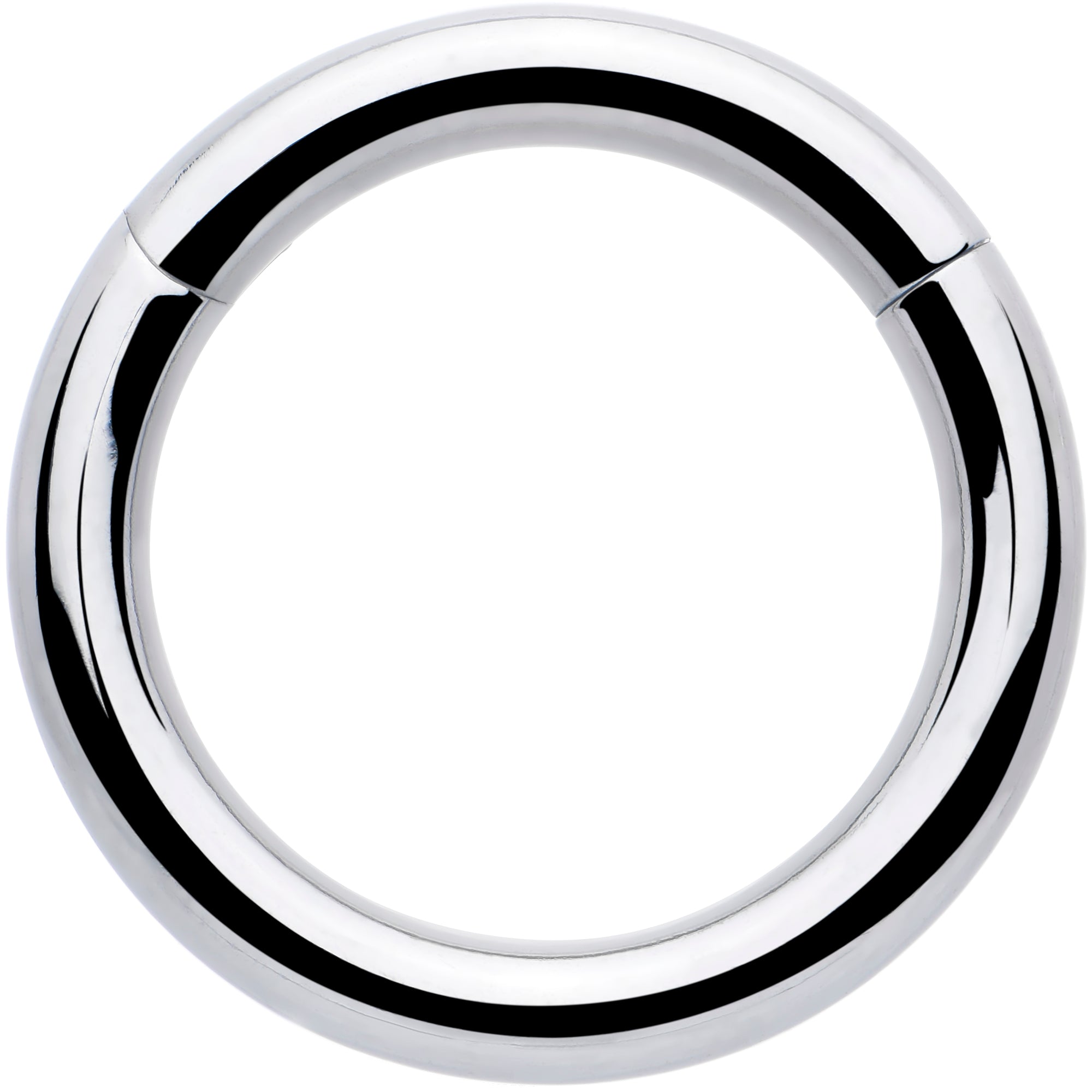 BodyCandy 8G 5/8 316L Surgical Steel Precision Hinged Segment Hoop — main product shot