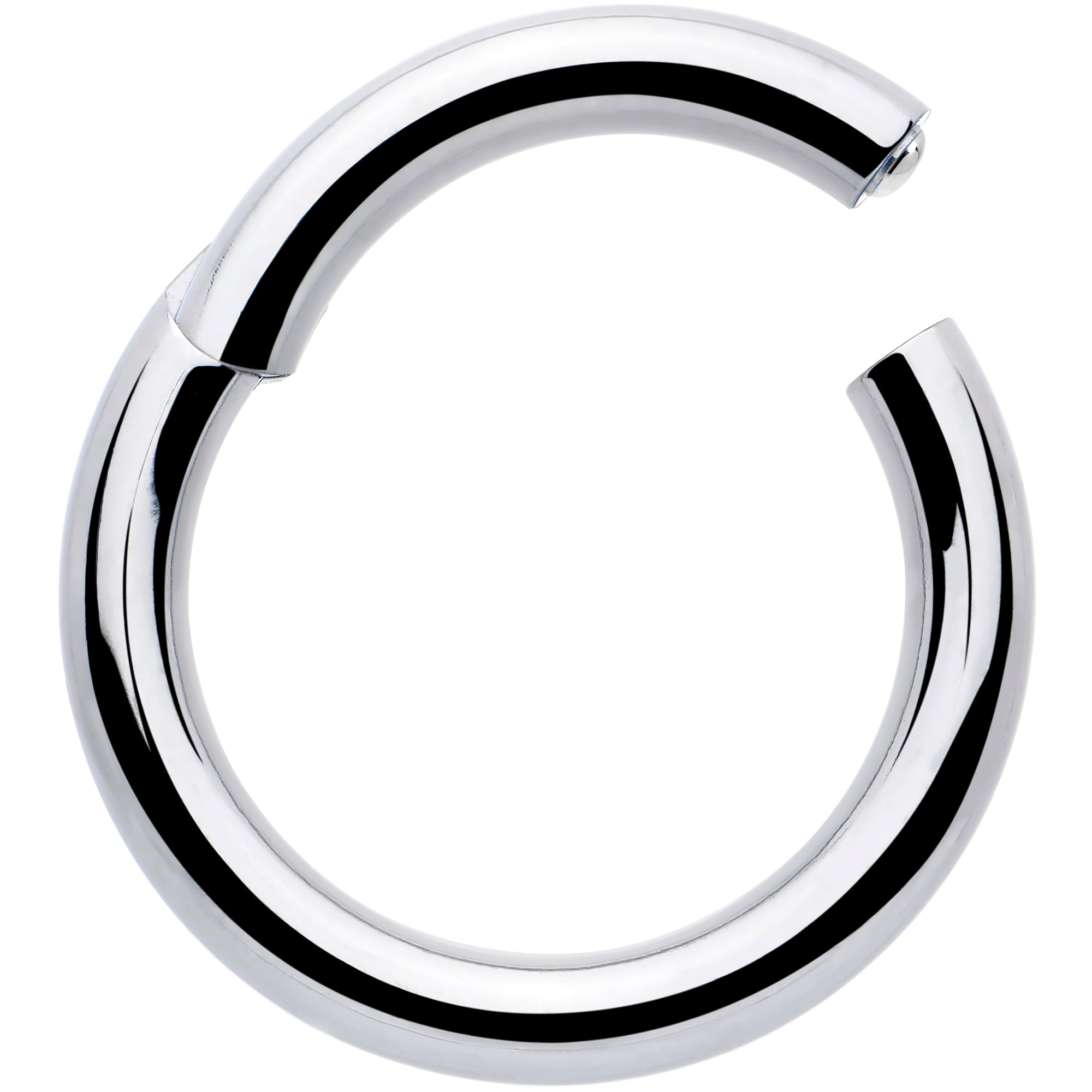 BodyCandy 8G 5/8 316L Surgical Steel Precision Hinged Segment Hoop — detail close-up