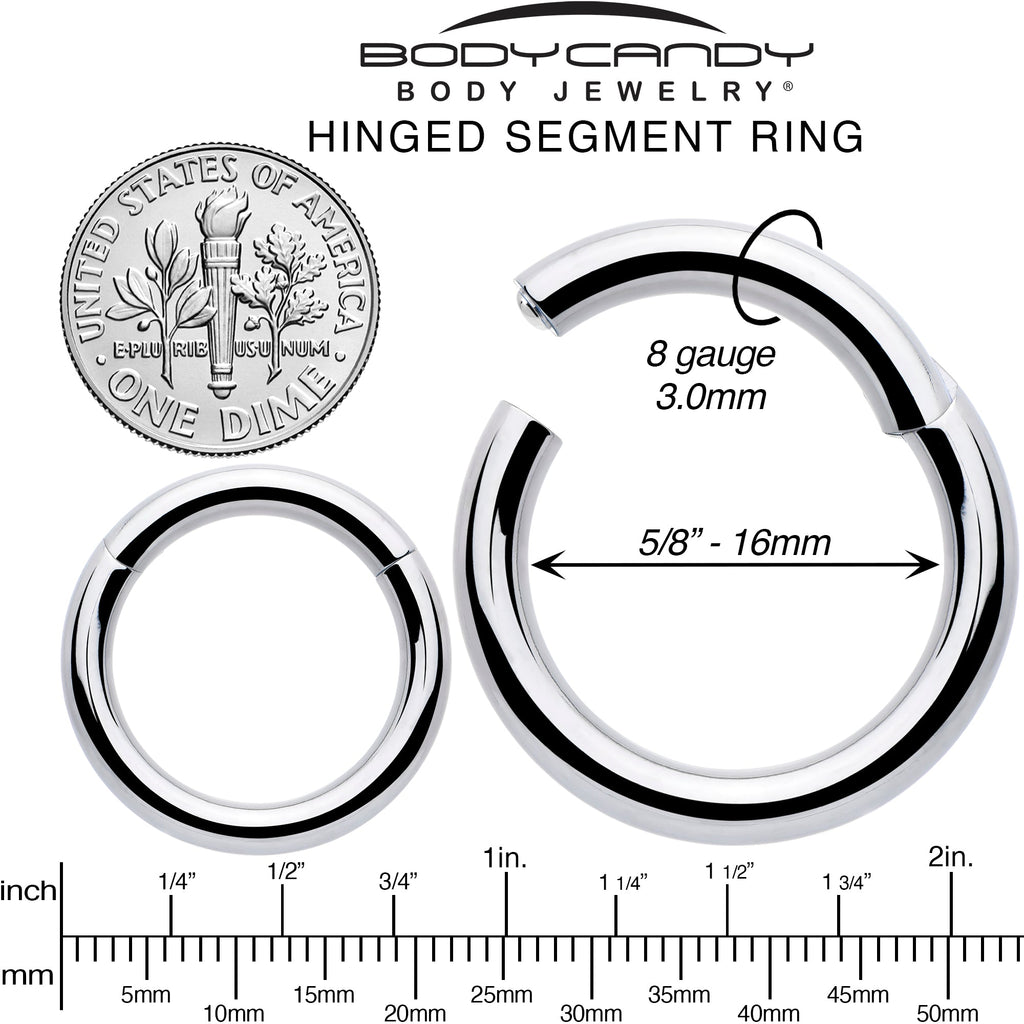 BodyCandy 8G 5/8 316L Surgical Steel Precision Hinged Segment Hoop — alternative angle